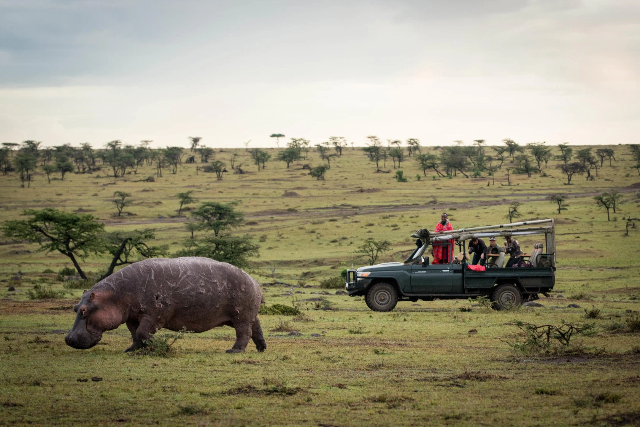 Masai Mara Private Safari game drive - 8 day Kenya safari
