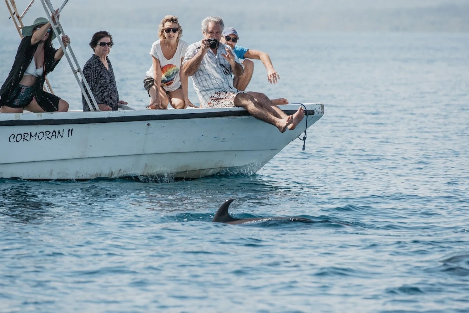 costa_rica_yoga_retreat_dolphin_ocean.jpg