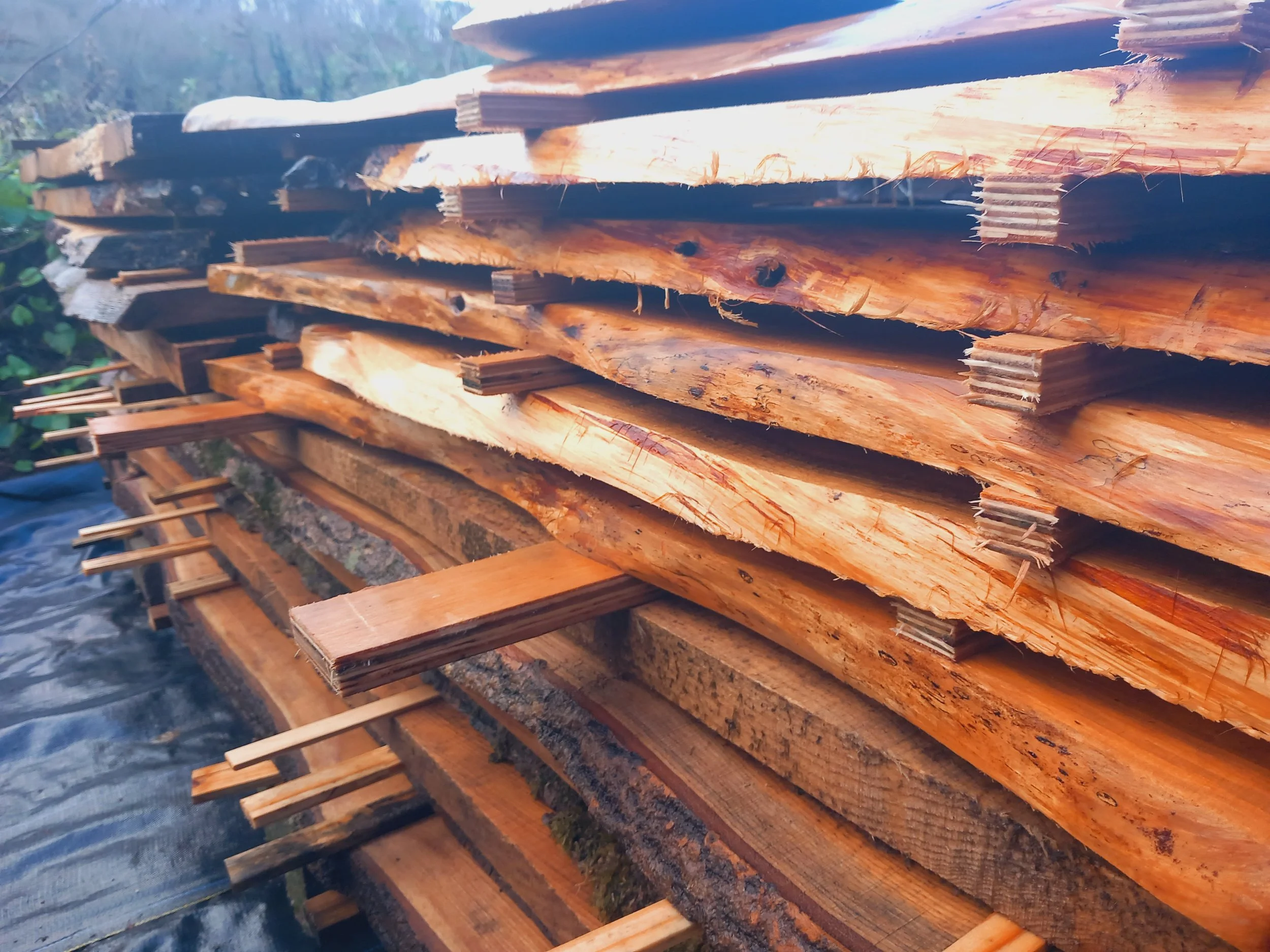 Timber for sale