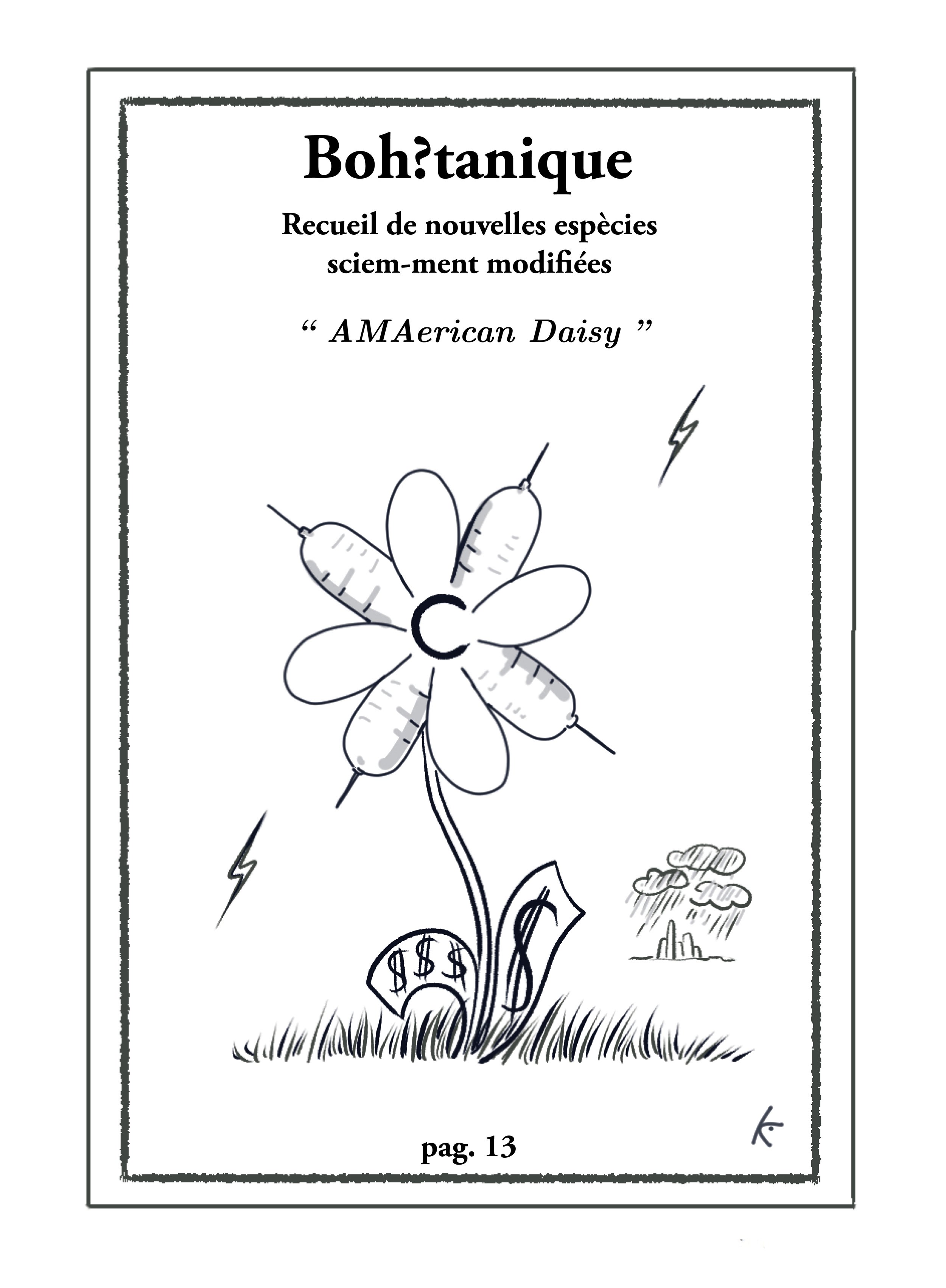 amaericana fr.jpg