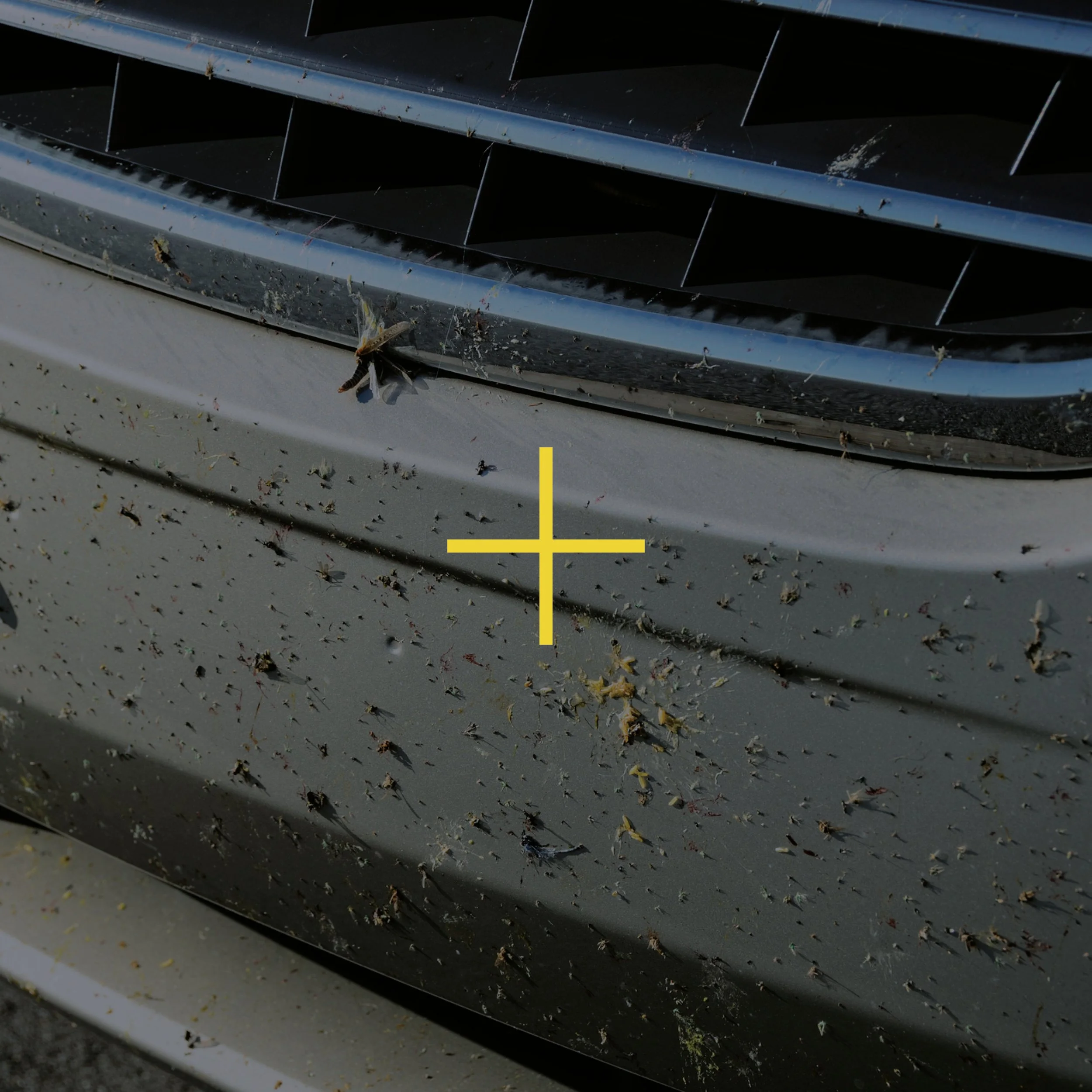 Insectes, goudron, poussières de frein : ces souvenirs de la route dont votre voiture se passerait bien.
