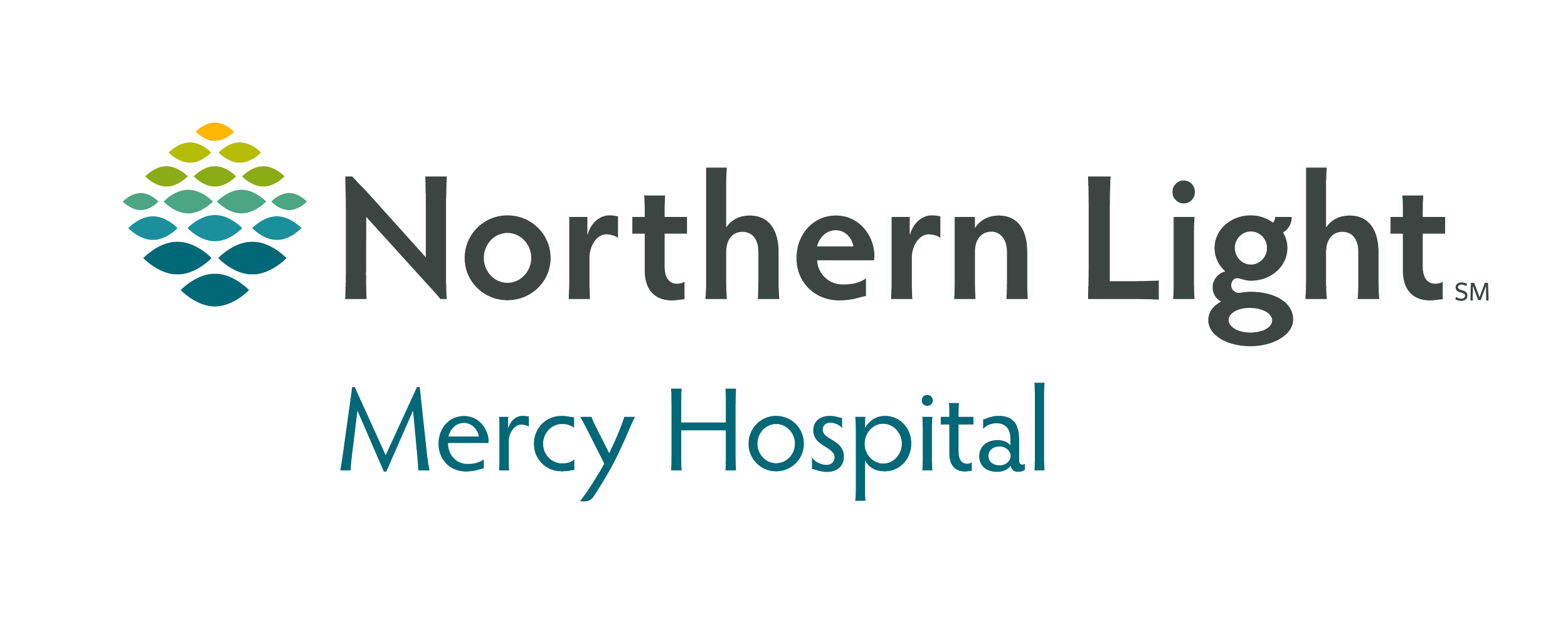 Mercy horizontal logo - color.png