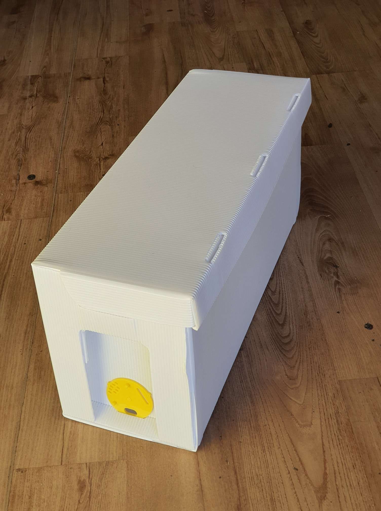 bee nuc01.jpeg