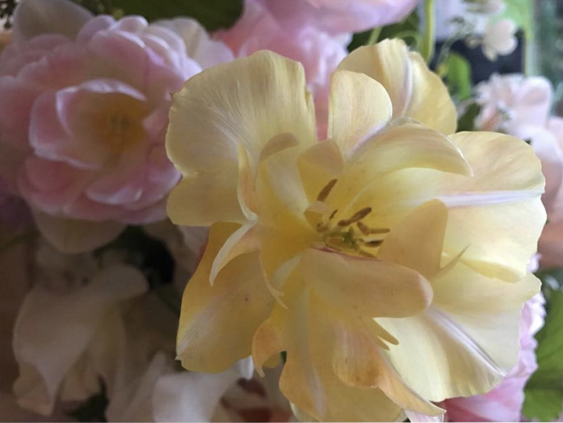 Screenshot 2022-10-04 at 16.42.50.png