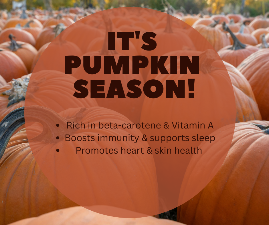 Text saying "It's pumpkin season!" on an orange circle overlayed on top of a background showing a field of picked pumpkins.