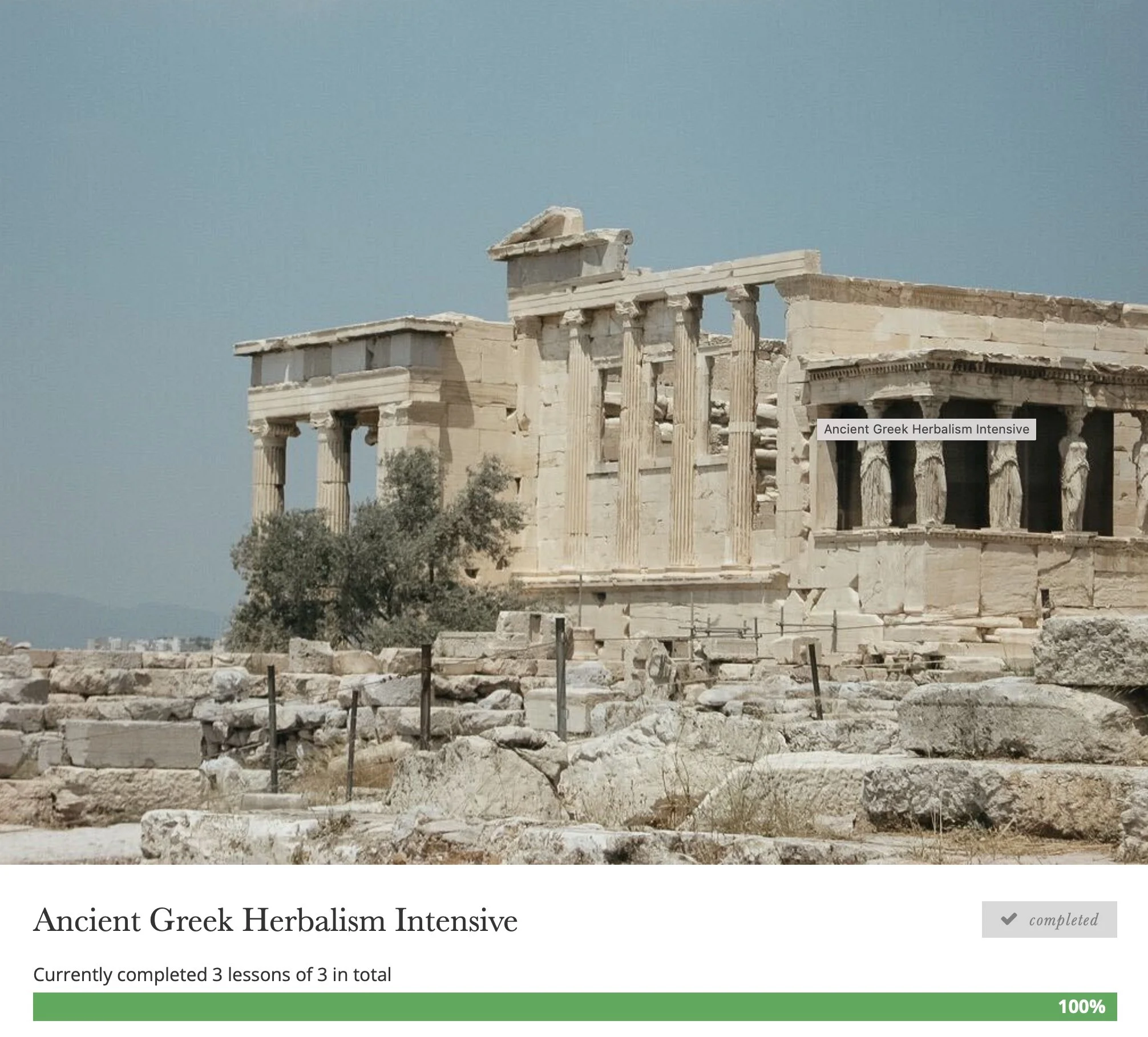 Ruins of an ancient Greek building with columns, partially destroyed, under a cloudy sky. This image shows the completion of the Greek Herbalism Intensive course on Herbal Academy. 