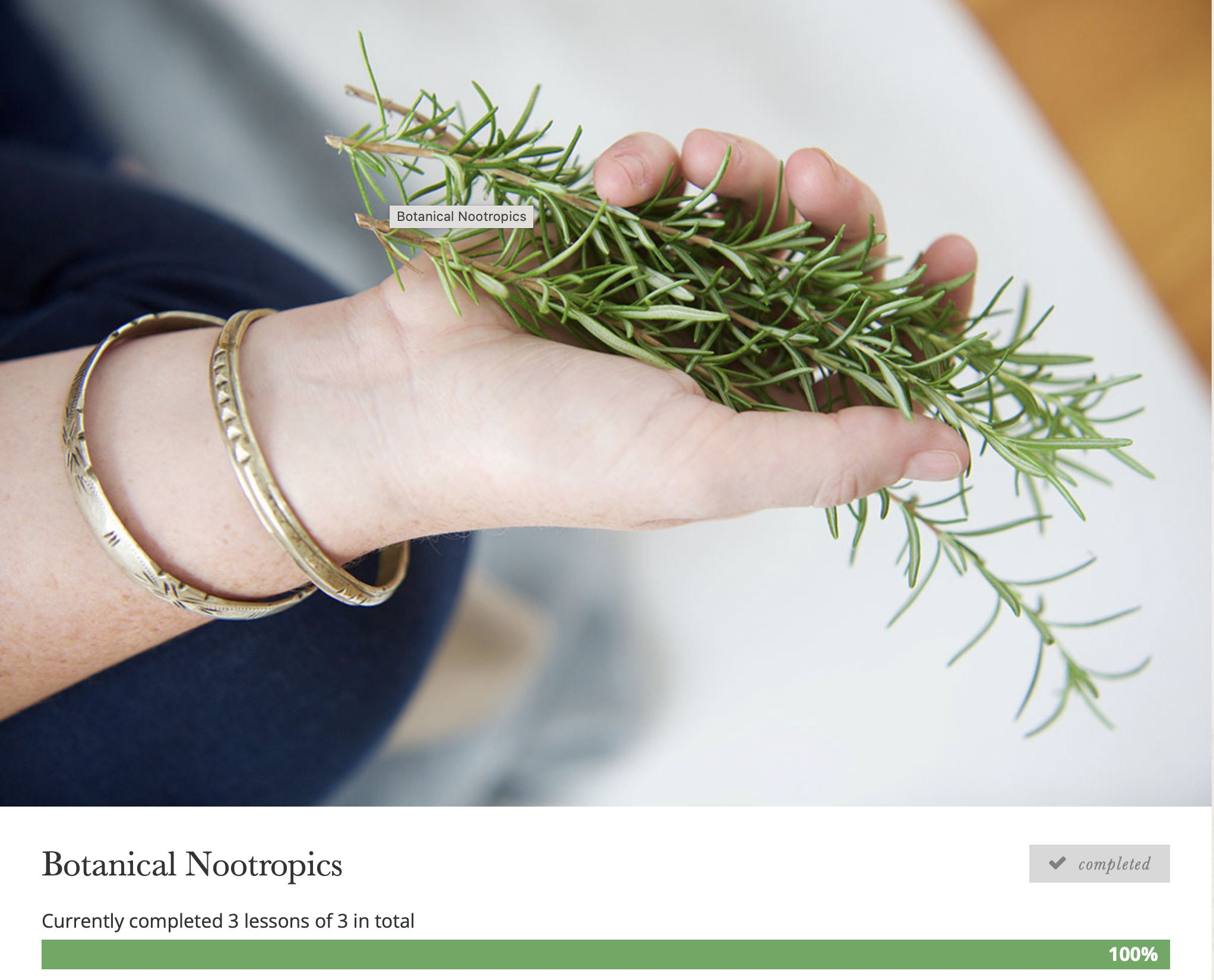 A hand holding fresh rosemary herb sprig, wearing two gold bracelets. This image shows the completion of the Botanical Nootropics Herbal Intensive course on Herbal Academy. 