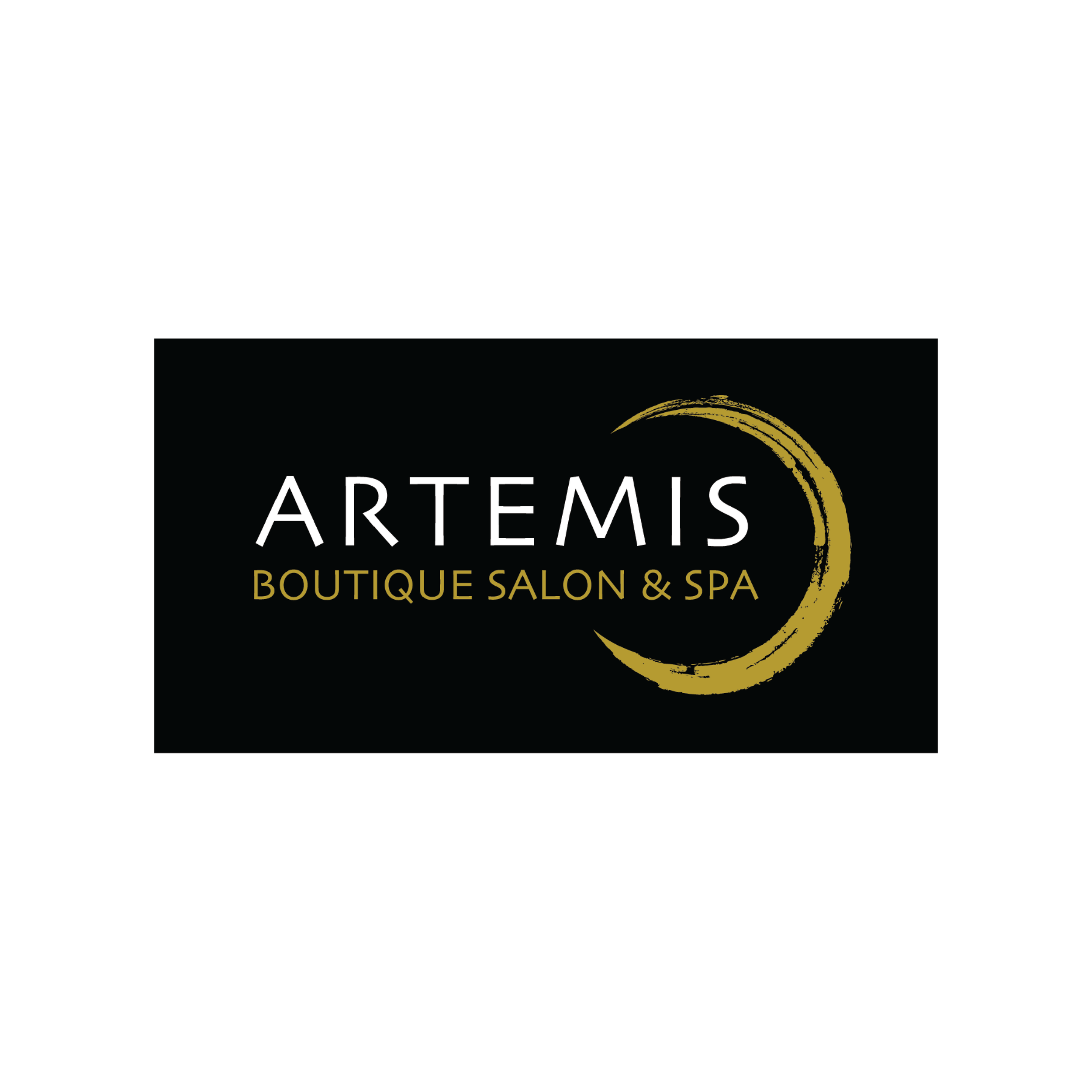 Artemis logo@1.5x.png