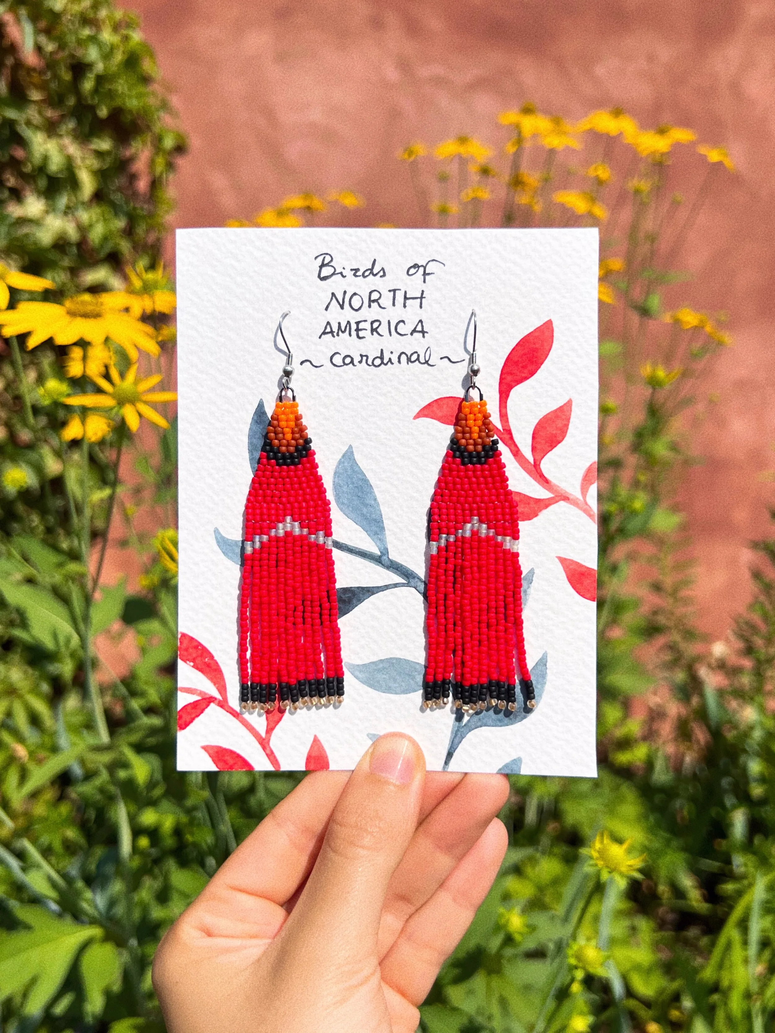 Cardinal - Birds of North America