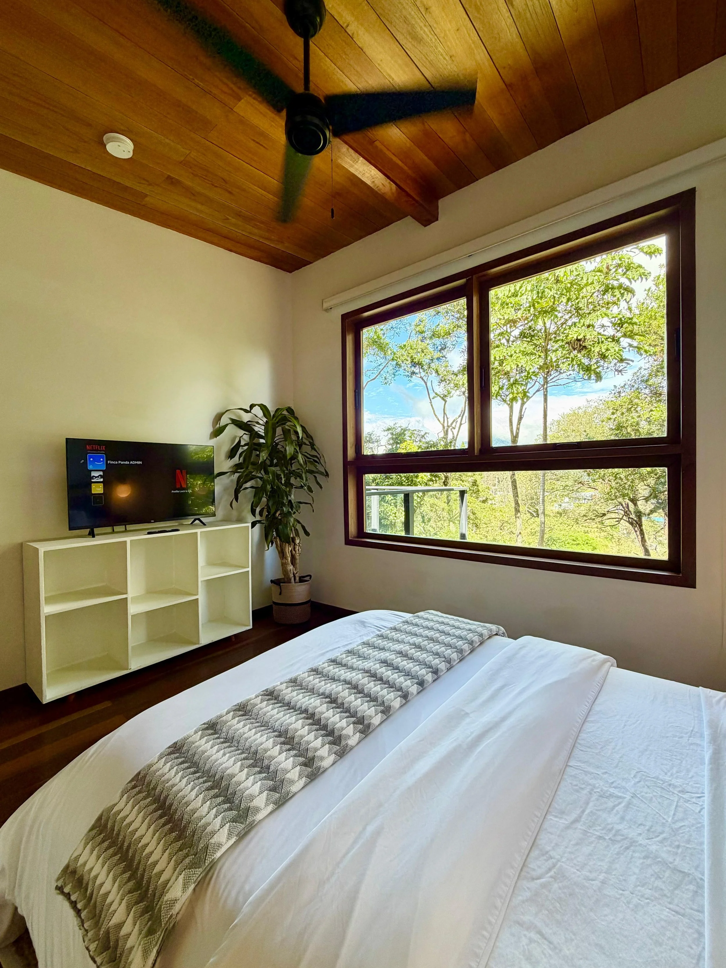 WhatsApp Image 2026-01-08 at 19.03.42 (1).jpeg