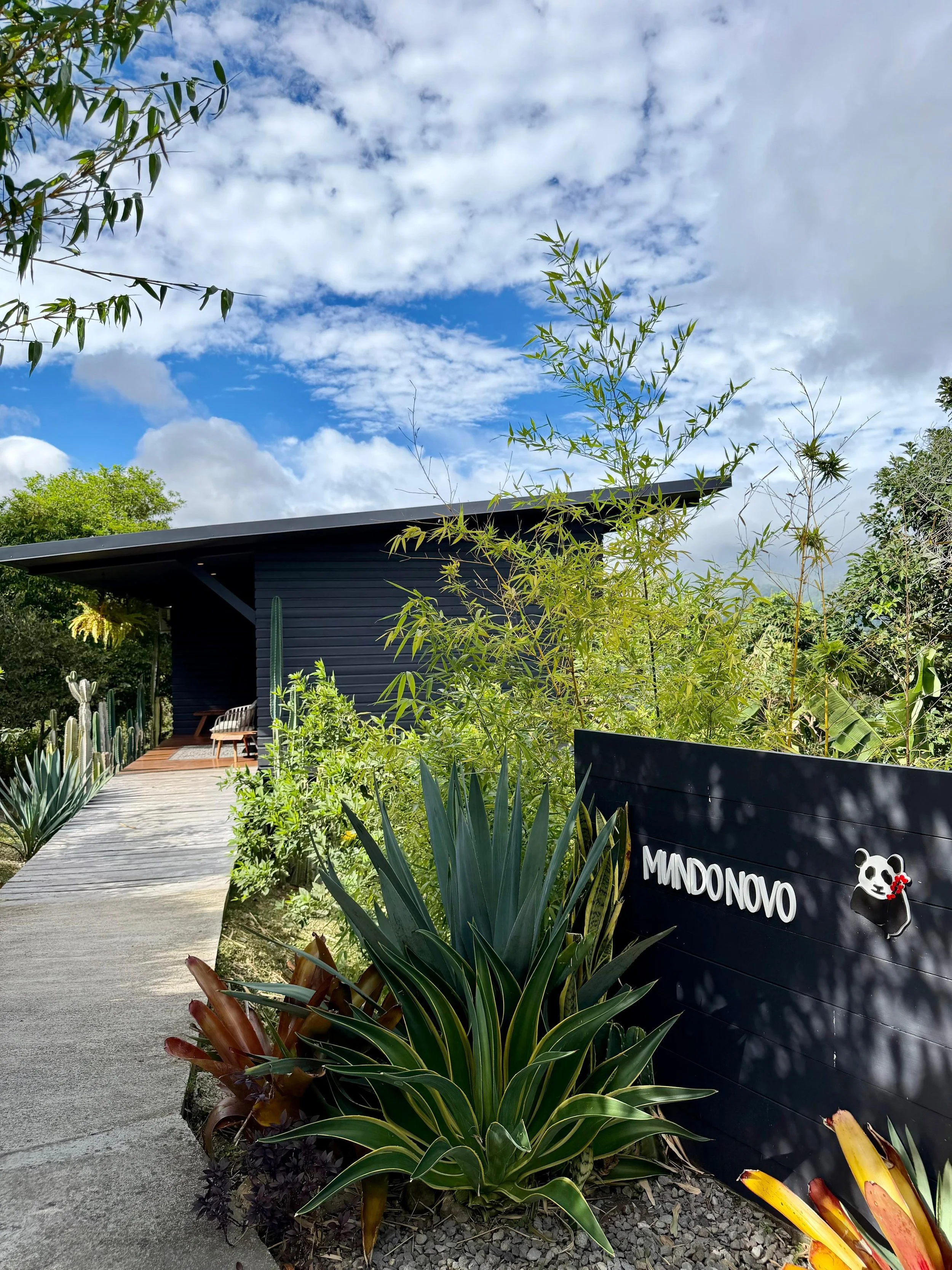 WhatsApp Image 2026-01-08 at 21.49.32.jpeg