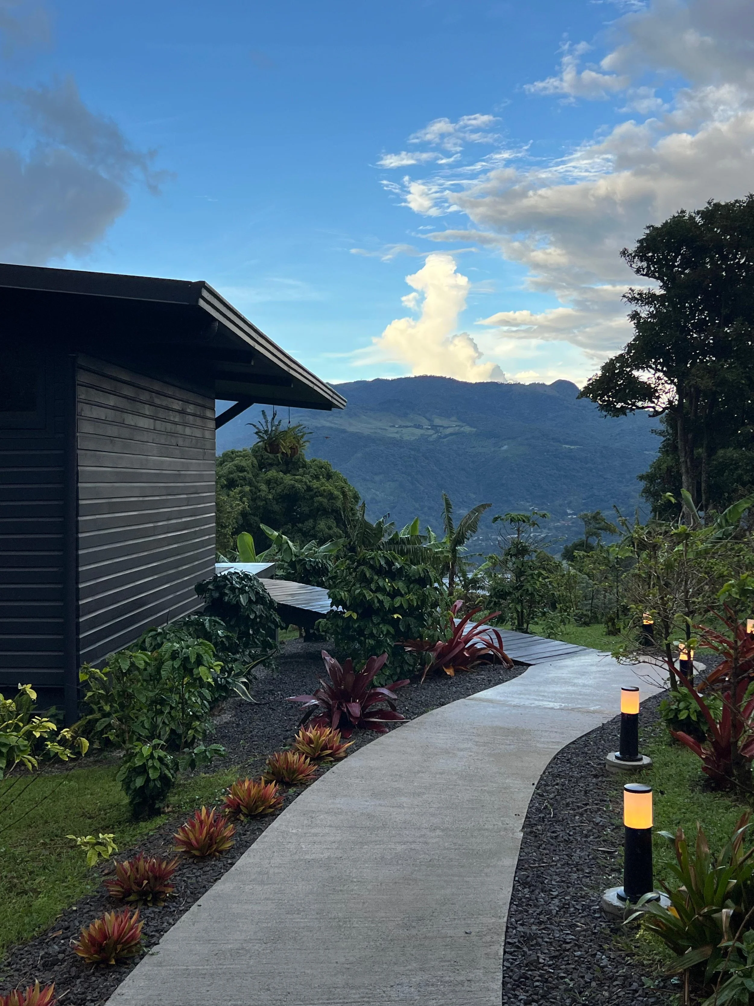 WhatsApp Image 2026-01-08 at 22.05.19 (1).jpeg