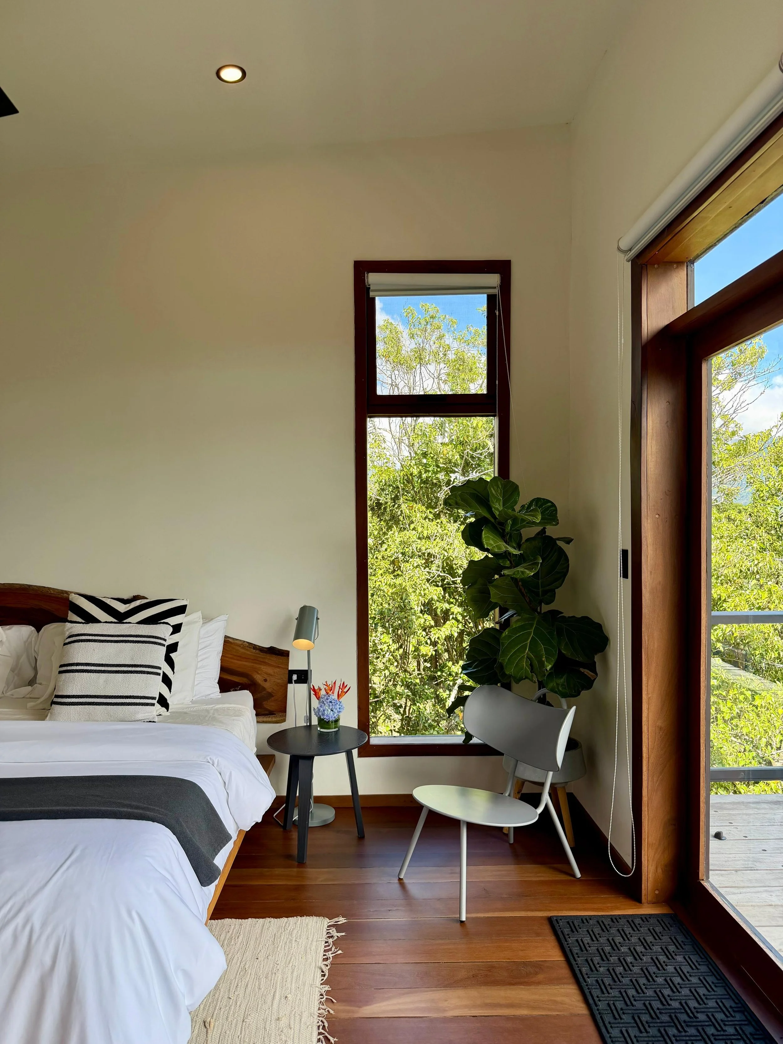 WhatsApp Image 2026-01-08 at 21.34.46.jpeg