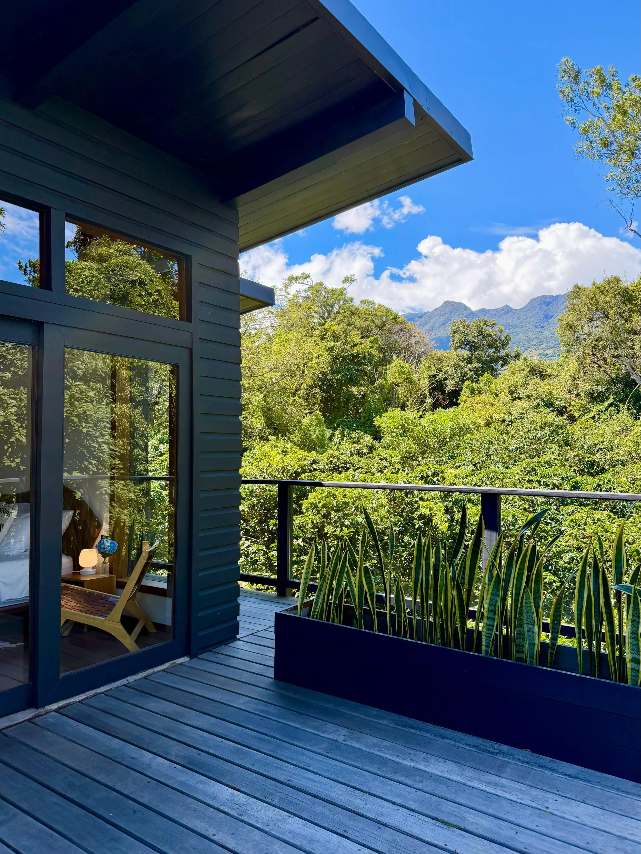 WhatsApp Image 2026-01-08 at 17.17.59 (3).jpeg