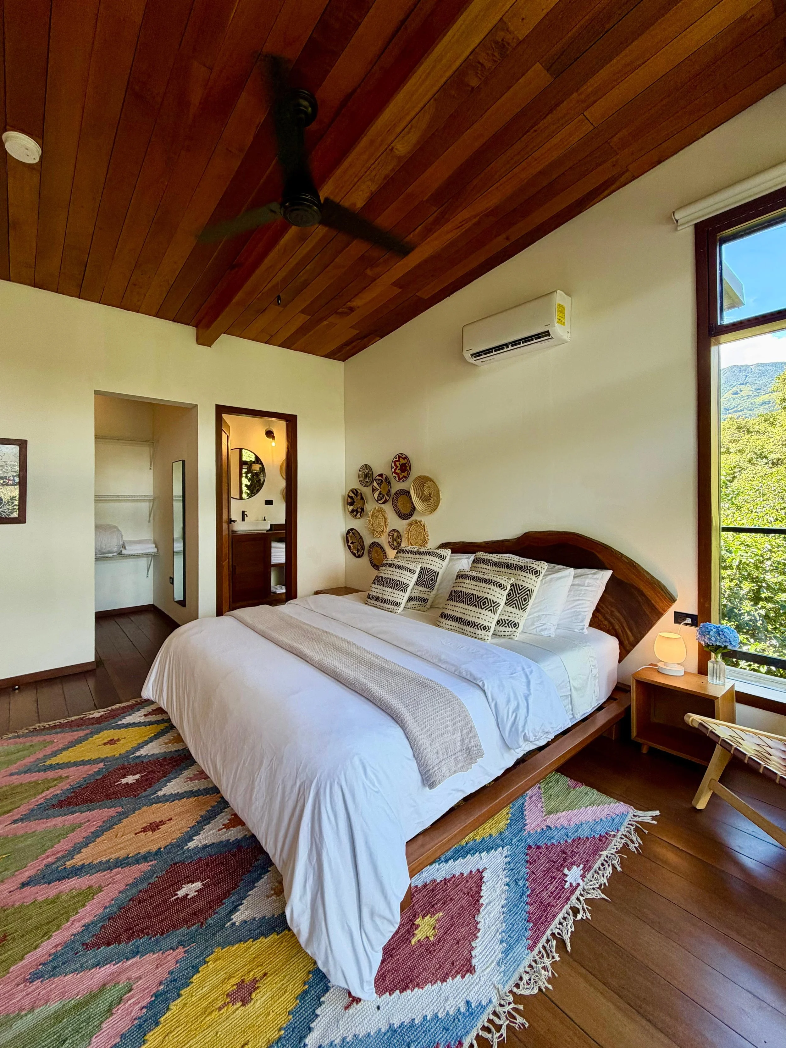 WhatsApp Image 2026-01-08 at 17.17.59.jpeg