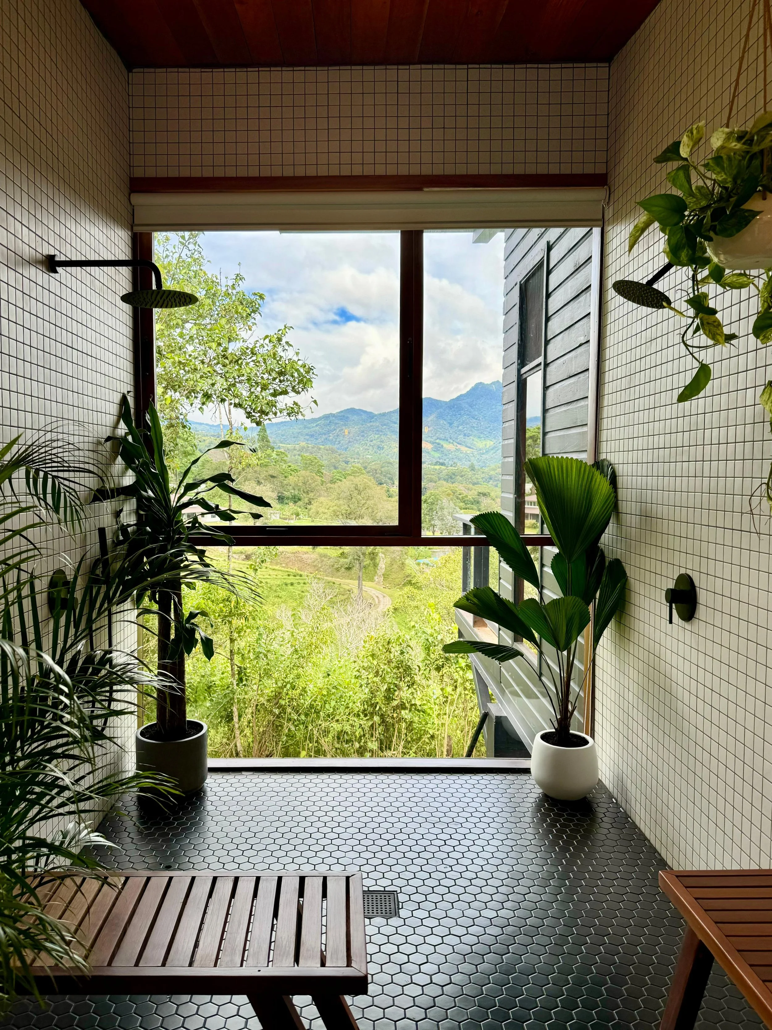 WhatsApp Image 2026-01-08 at 22.05.20.jpeg