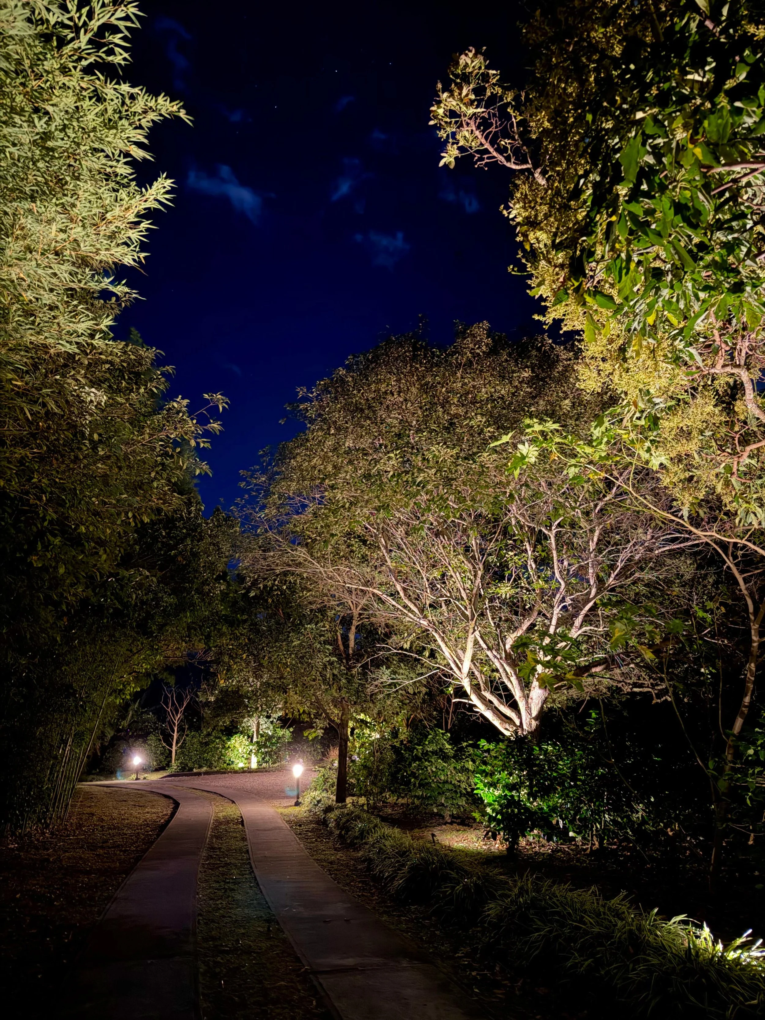 WhatsApp Image 2026-01-08 at 13.35.54.jpeg