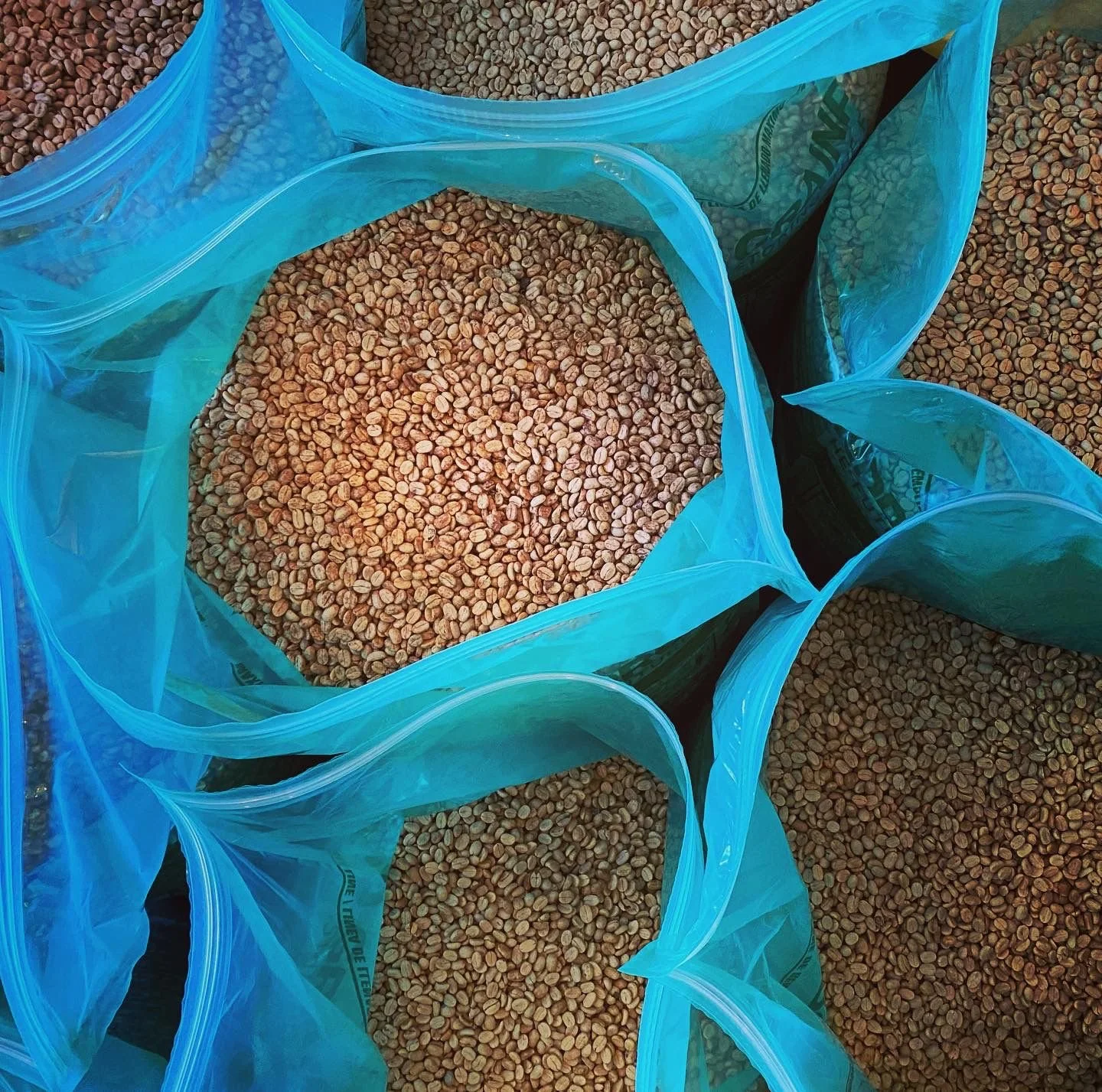 WhatsApp Image 2026-01-08 at 22.39.54 (5).jpeg