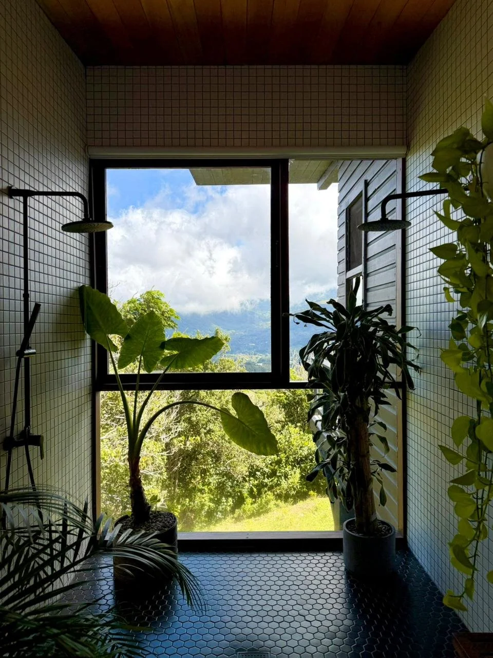 WhatsApp Image 2026-01-08 at 12.44.41 (4).jpeg