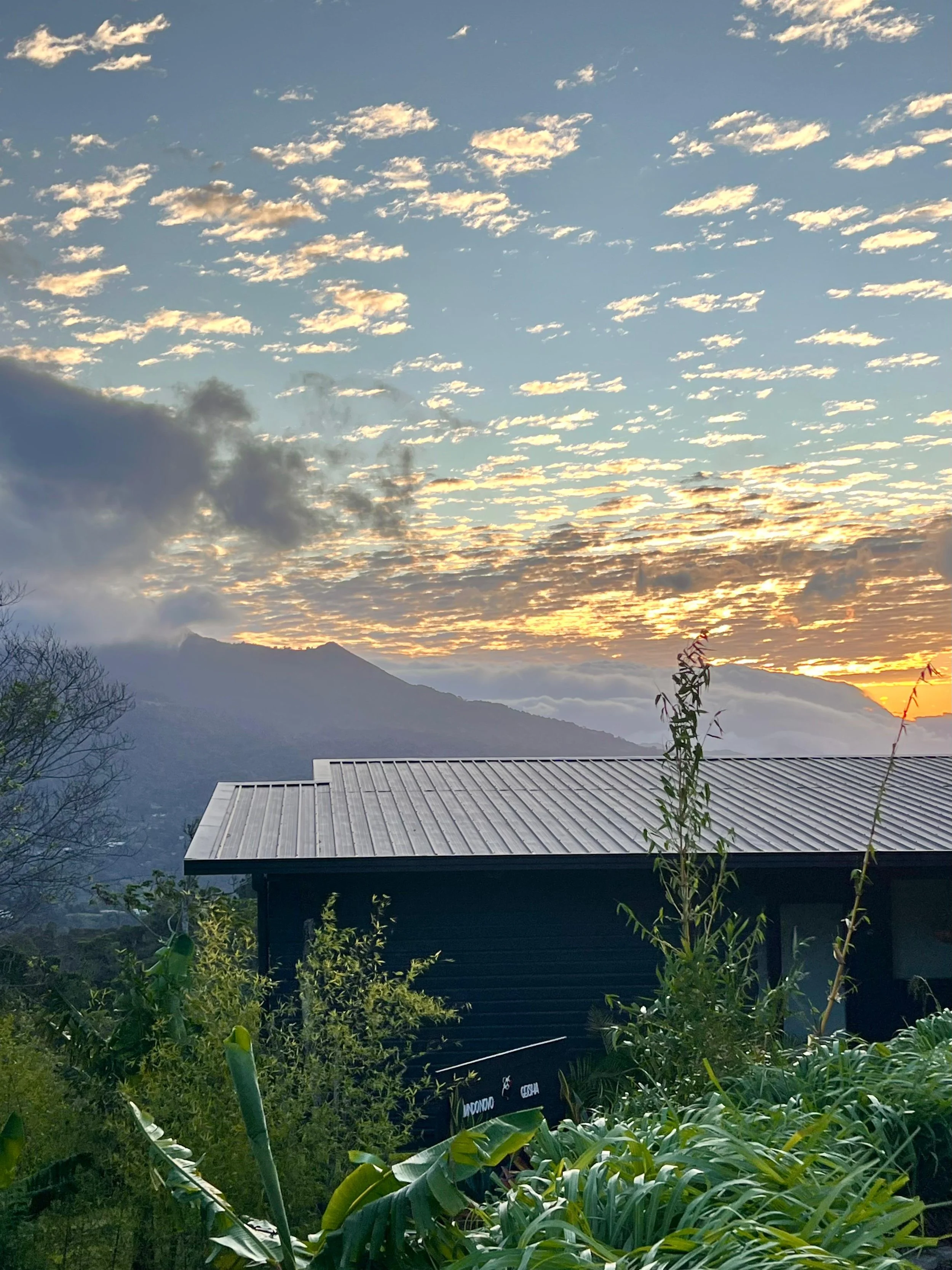 WhatsApp Image 2026-01-08 at 12.44.37 (2).jpeg