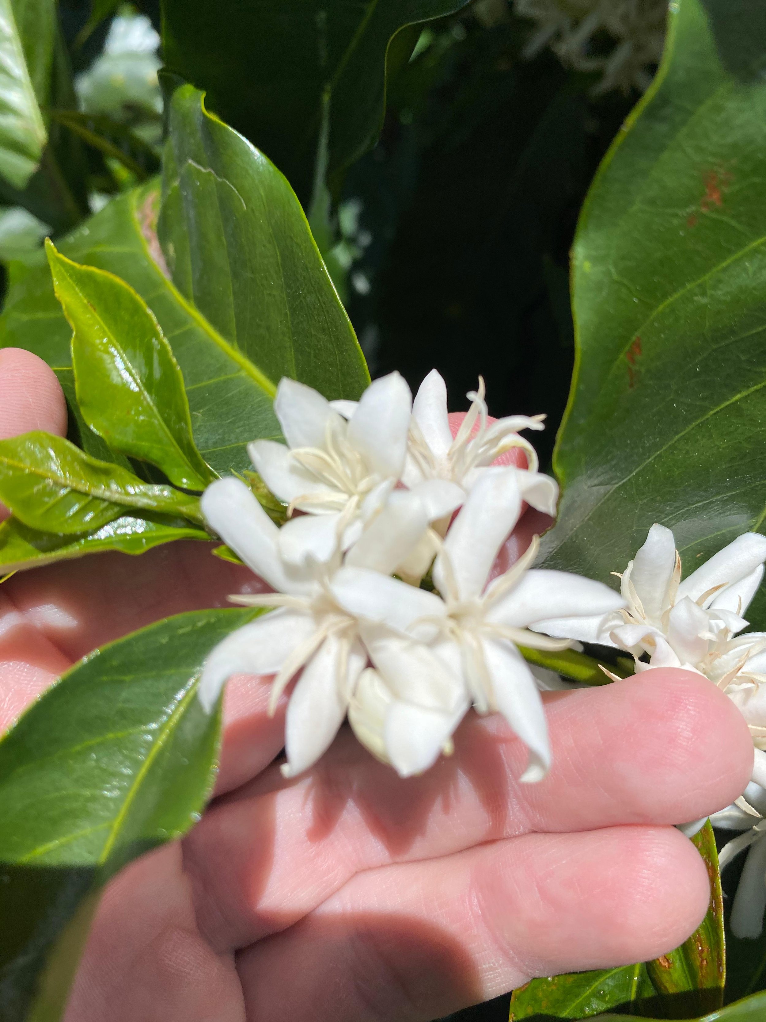 WhatsApp Image 2026-01-08 at 22.39.55.jpeg