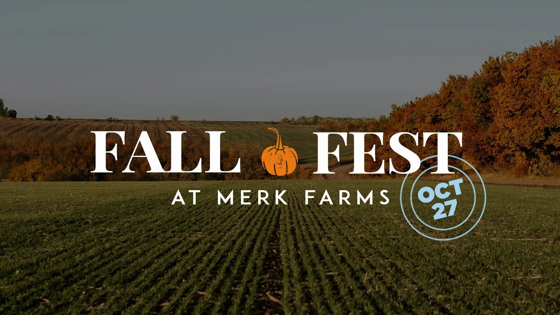 Fall Fest at Merk Farms