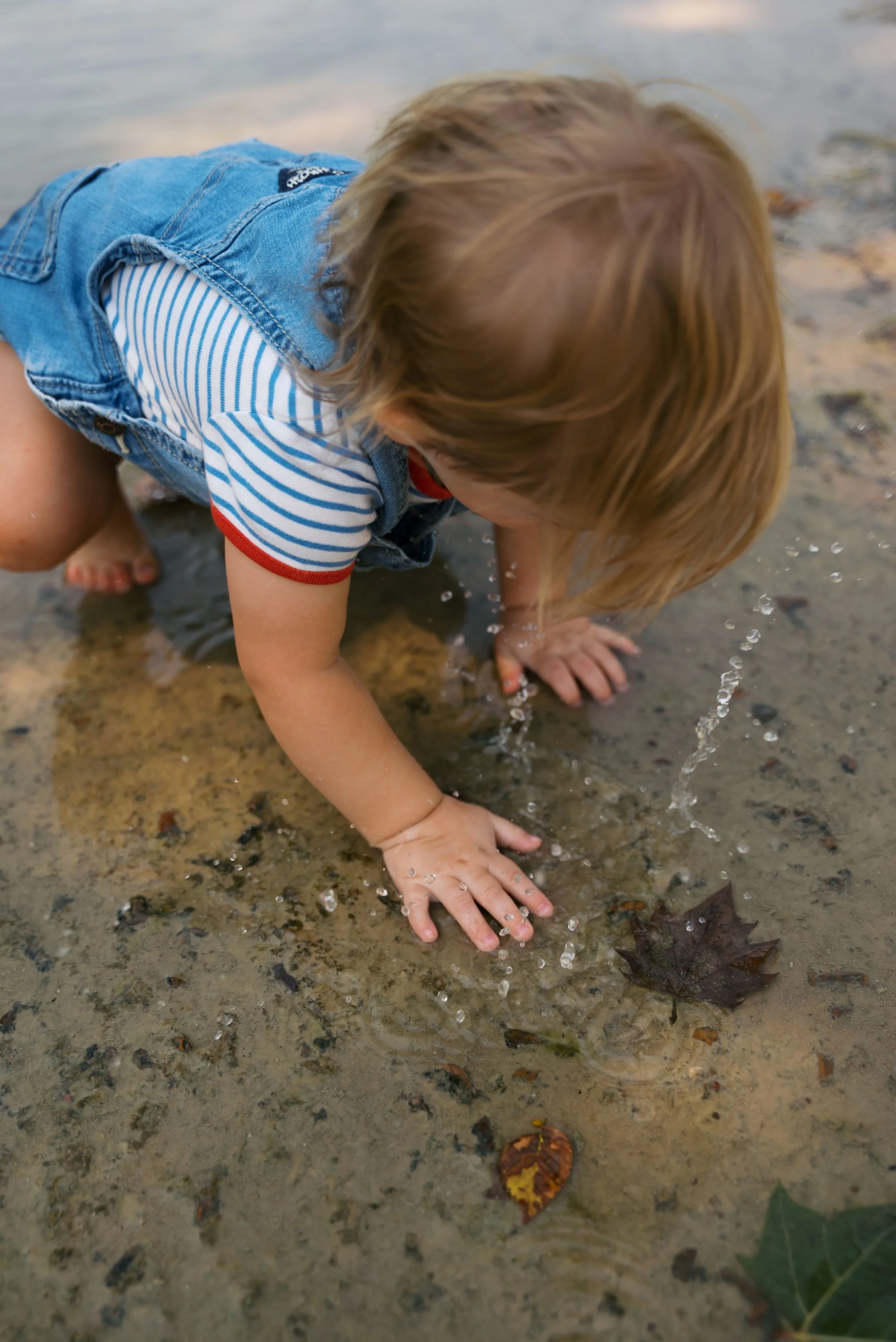 A young child with blonde hair playing in shallow water at the beach, wearing a striped shirt and denim overalls, with leaves on the sand in Madison, Wisconsin