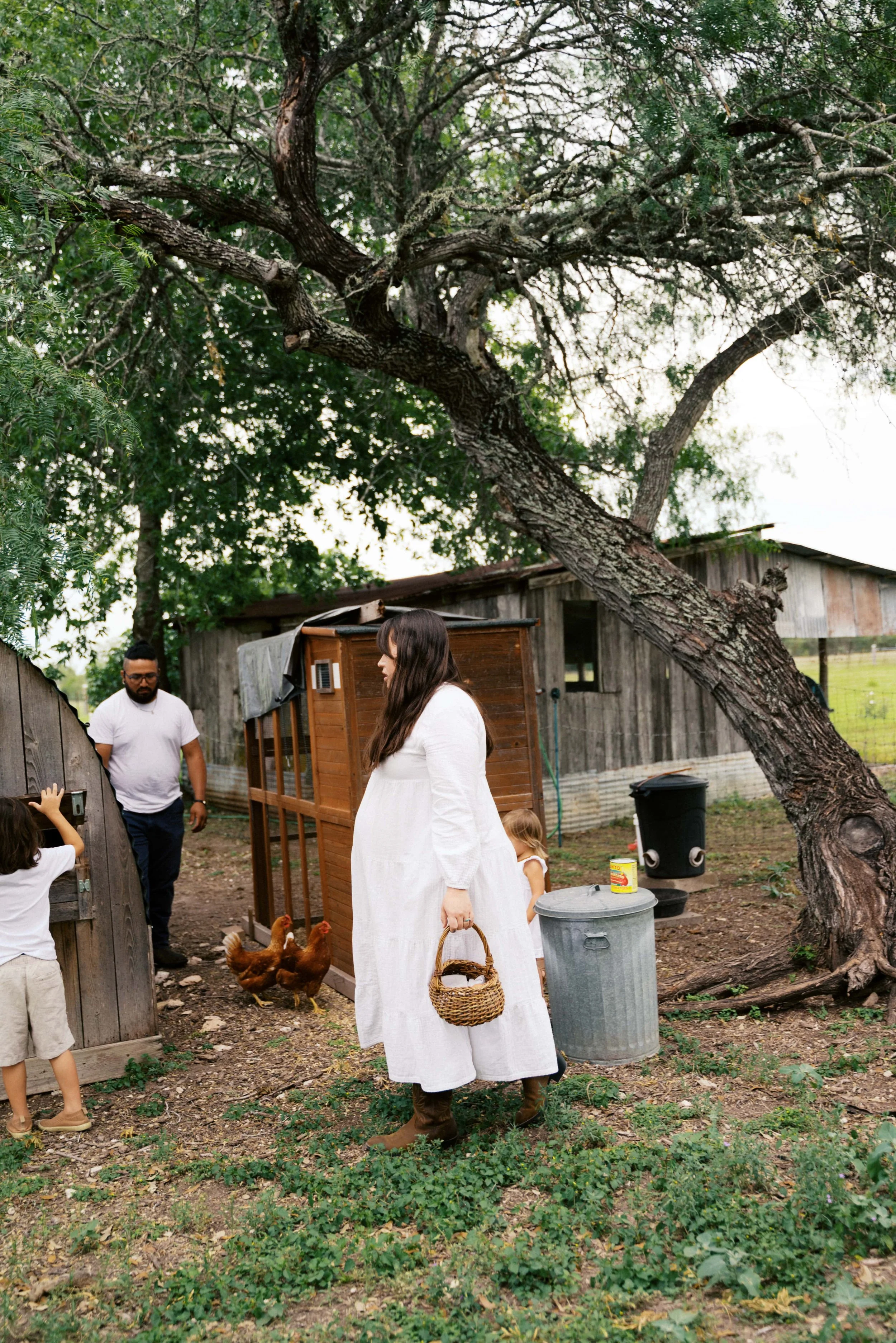 People on a farm with chickens, a large tree, and a rustic wooden shed in the background.