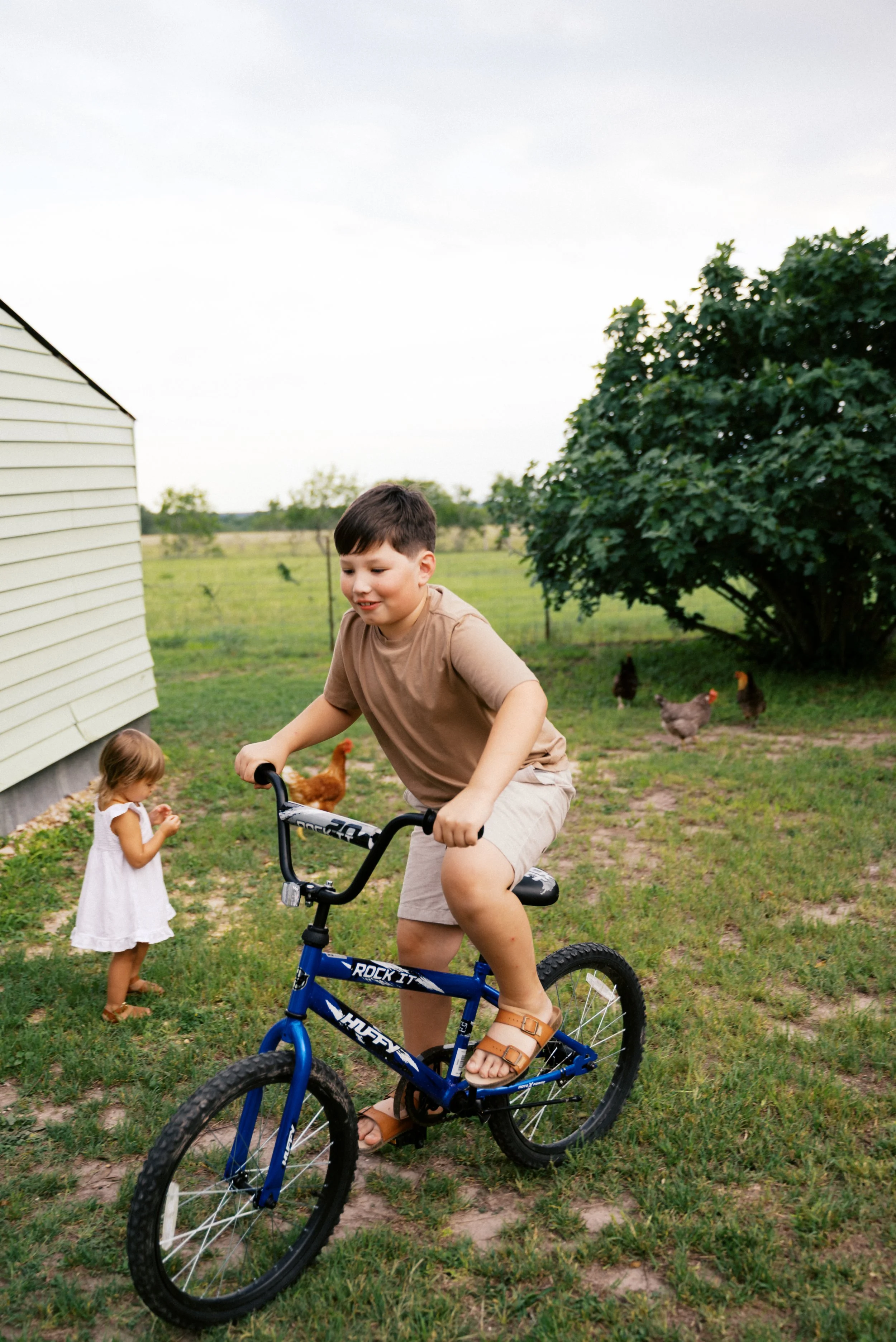 A boy riding a blue bicycle in a backyard with chickens, and a young girl standing nearby.