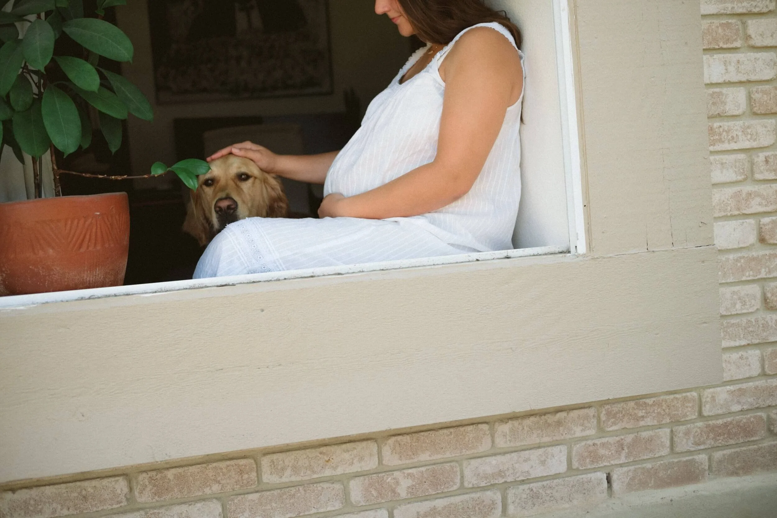 an expecting mother sitting by a window, gently petting her golden retriever while holding her baby bump. This intimate scene captures the warmth of a growing family, beautifully documented by a New Braunfels maternity photographer.