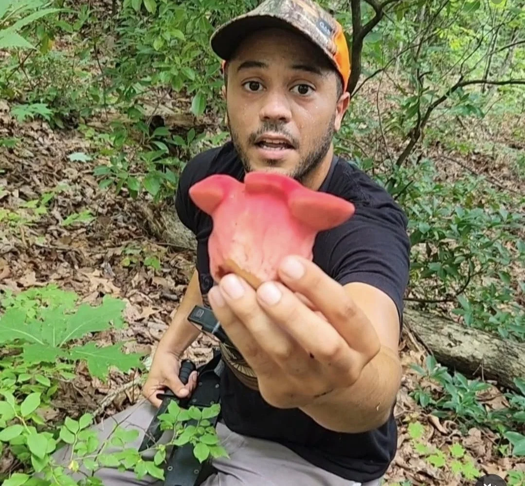 Beginning a Food Forest:  Adding mushrooms and veggies to your yard