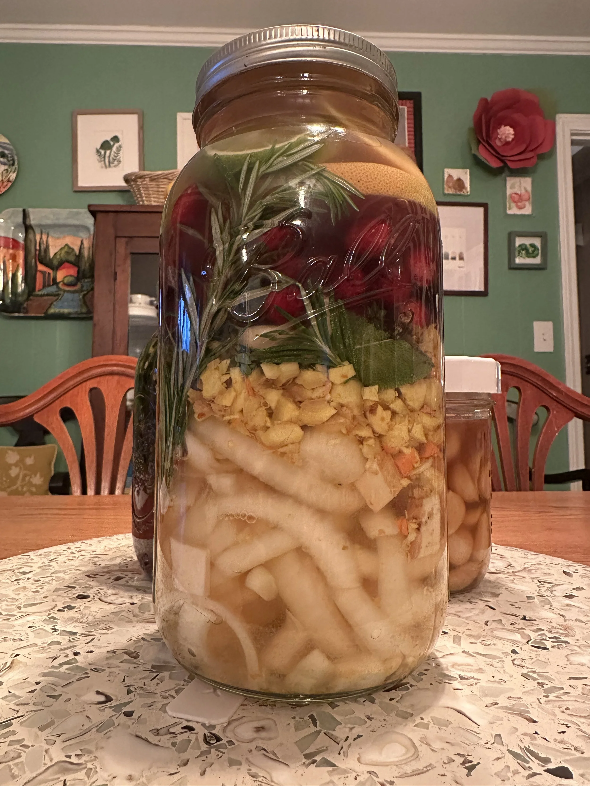 Beginner Wellness