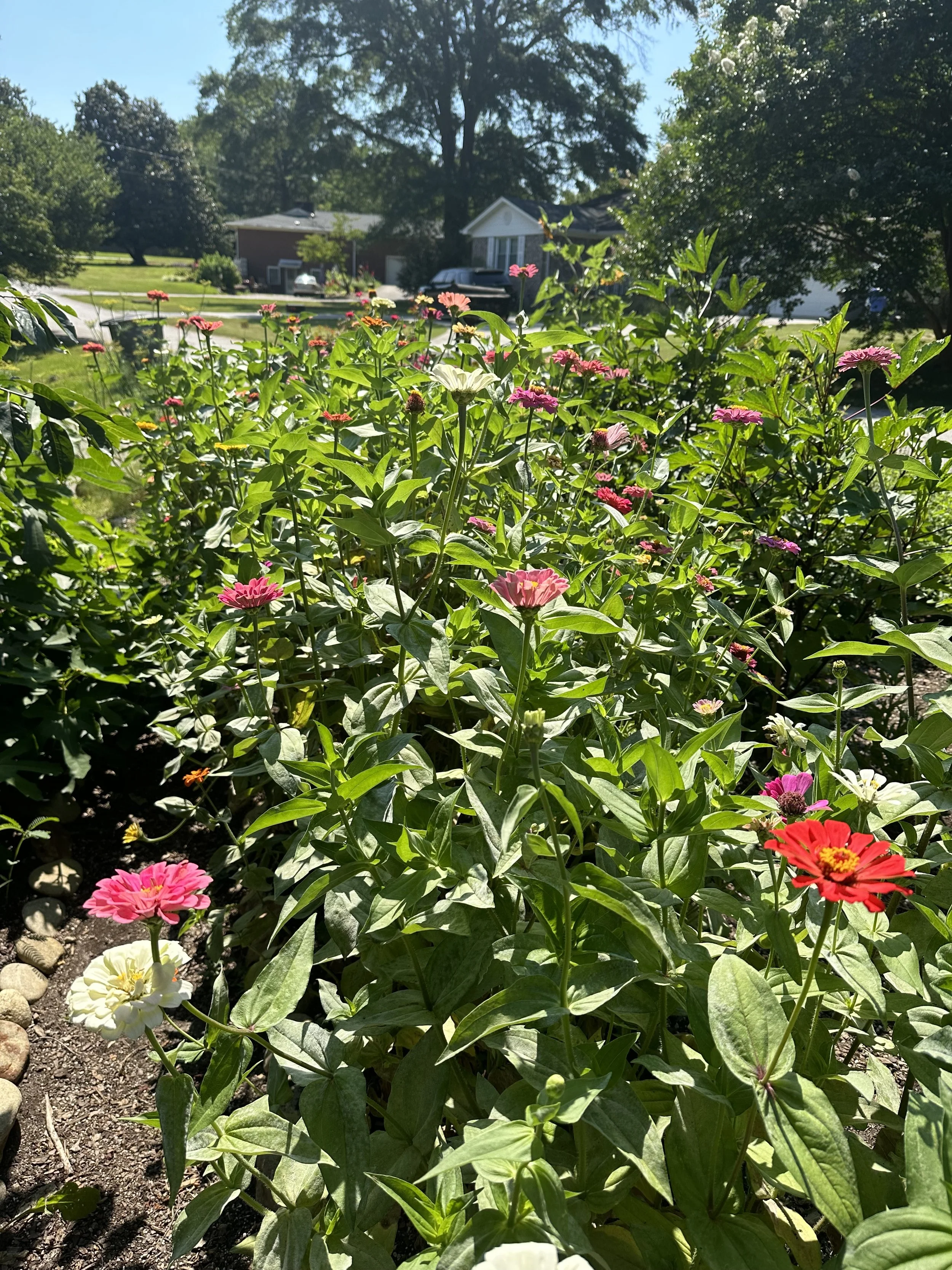 IMG_2561.jpeg