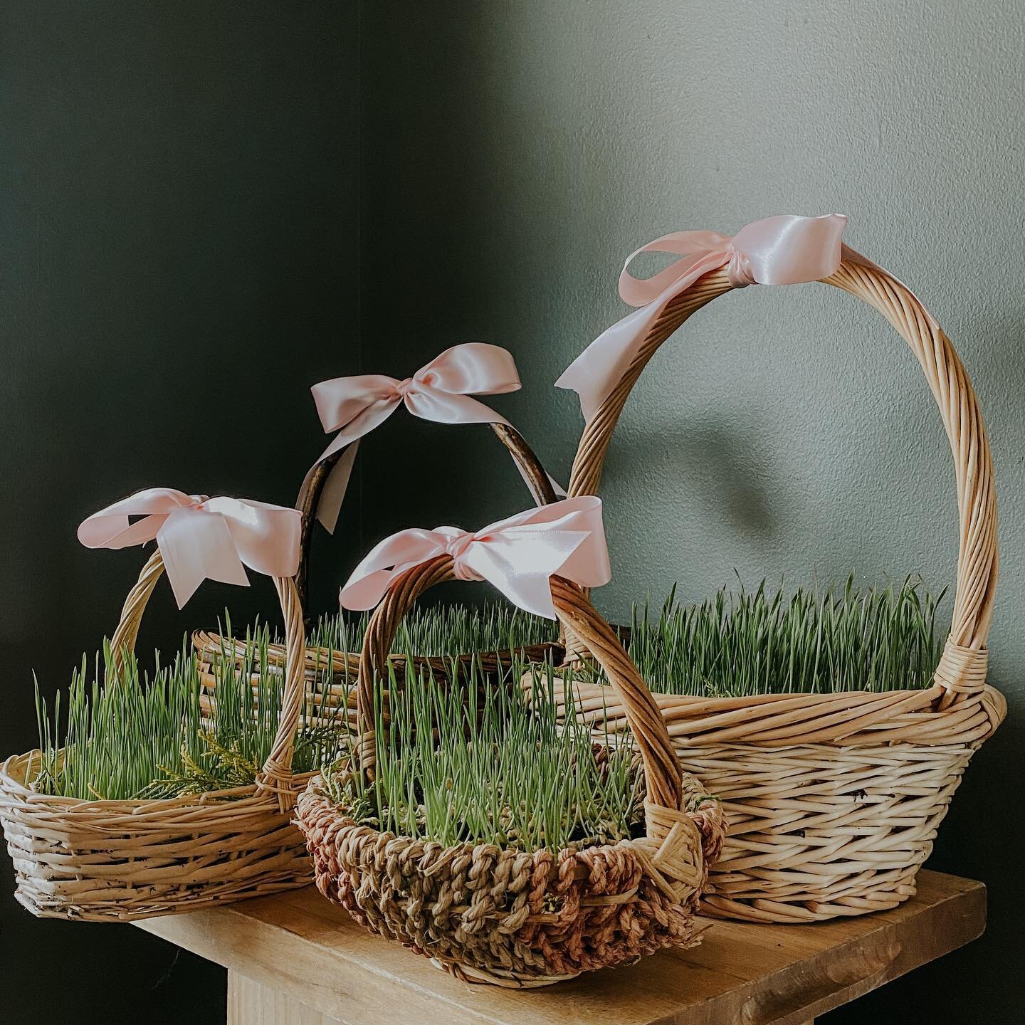Darling Easter baskets full of fresh wheatgrass to nestle your beautifully dyed eggs in!

✨🐰🌱

2 sizes available for pick-up and local delivery all week!