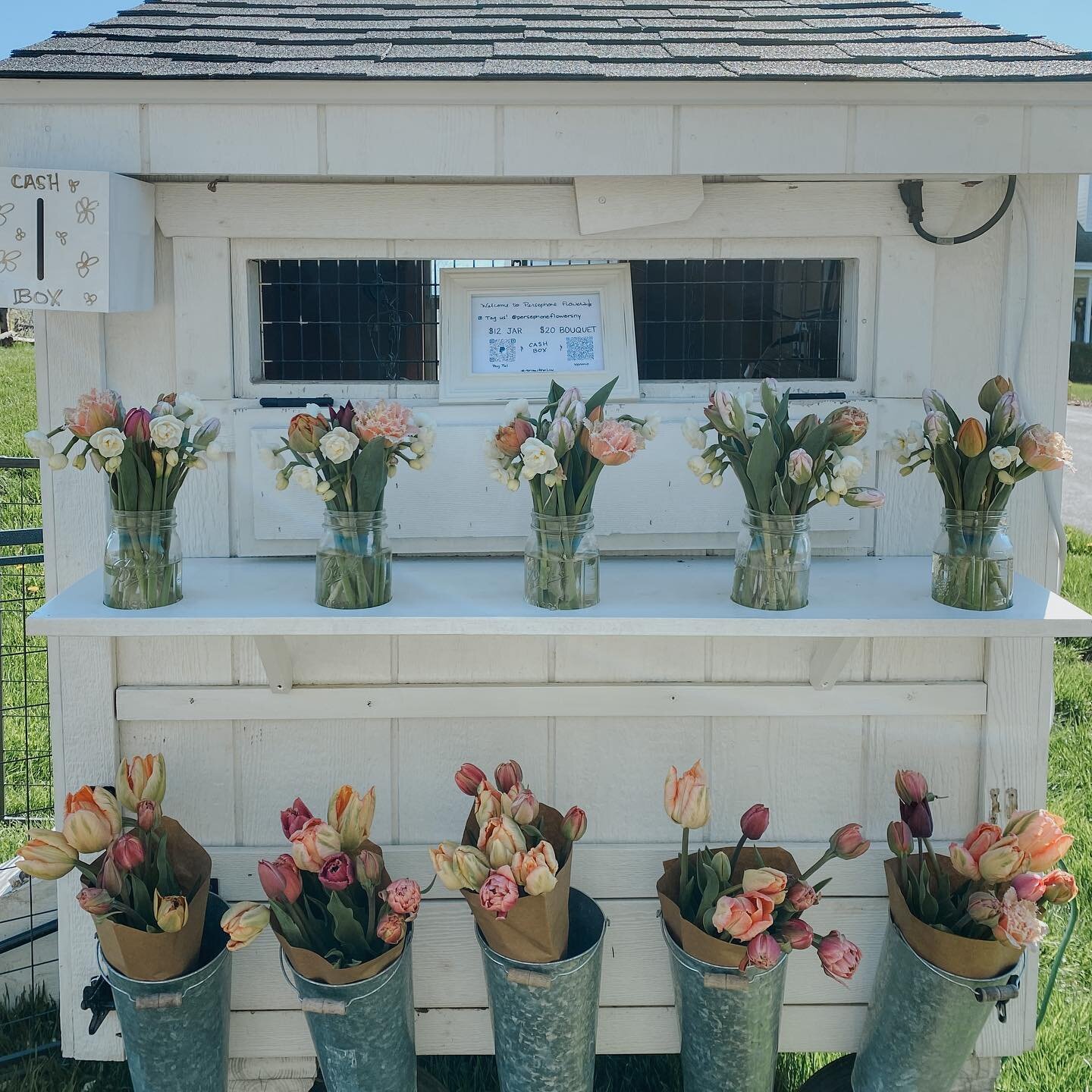 🌷TULIP SALE TODAY!🌷

$12 Mason Jar Bouquets
$20 Wrap Bouquets

Fragrant, fringed, &amp; ruffly in all the prettiest pastels!

#springflowers #flowerstand #roadsidestand #cantonny #growninny #localflowers #seasonalflowers
