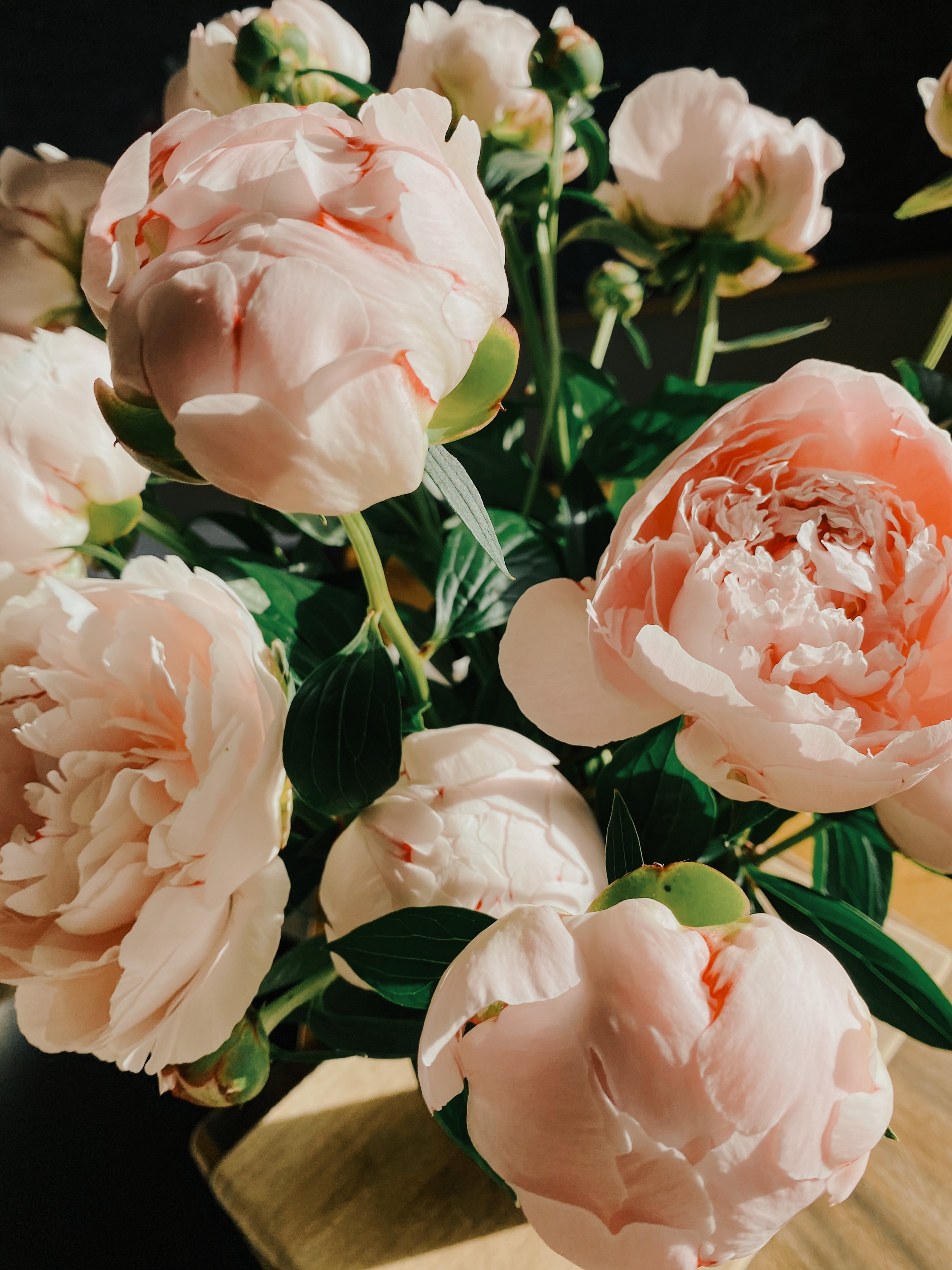 Harvest Yarrow Mini Bouquet – Persephone's Hearth