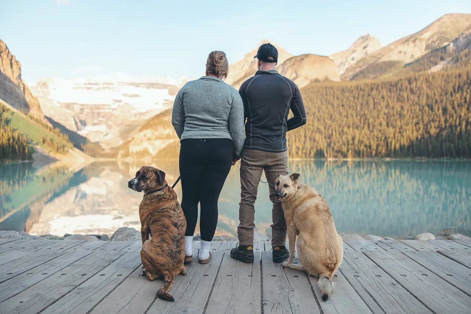 116_Couple-Dogs-Lake-Louise-Banff-Mountain-Landscape.webp