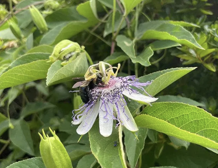 Screenshot 2026-03-23 at 11.25.20 AM.png