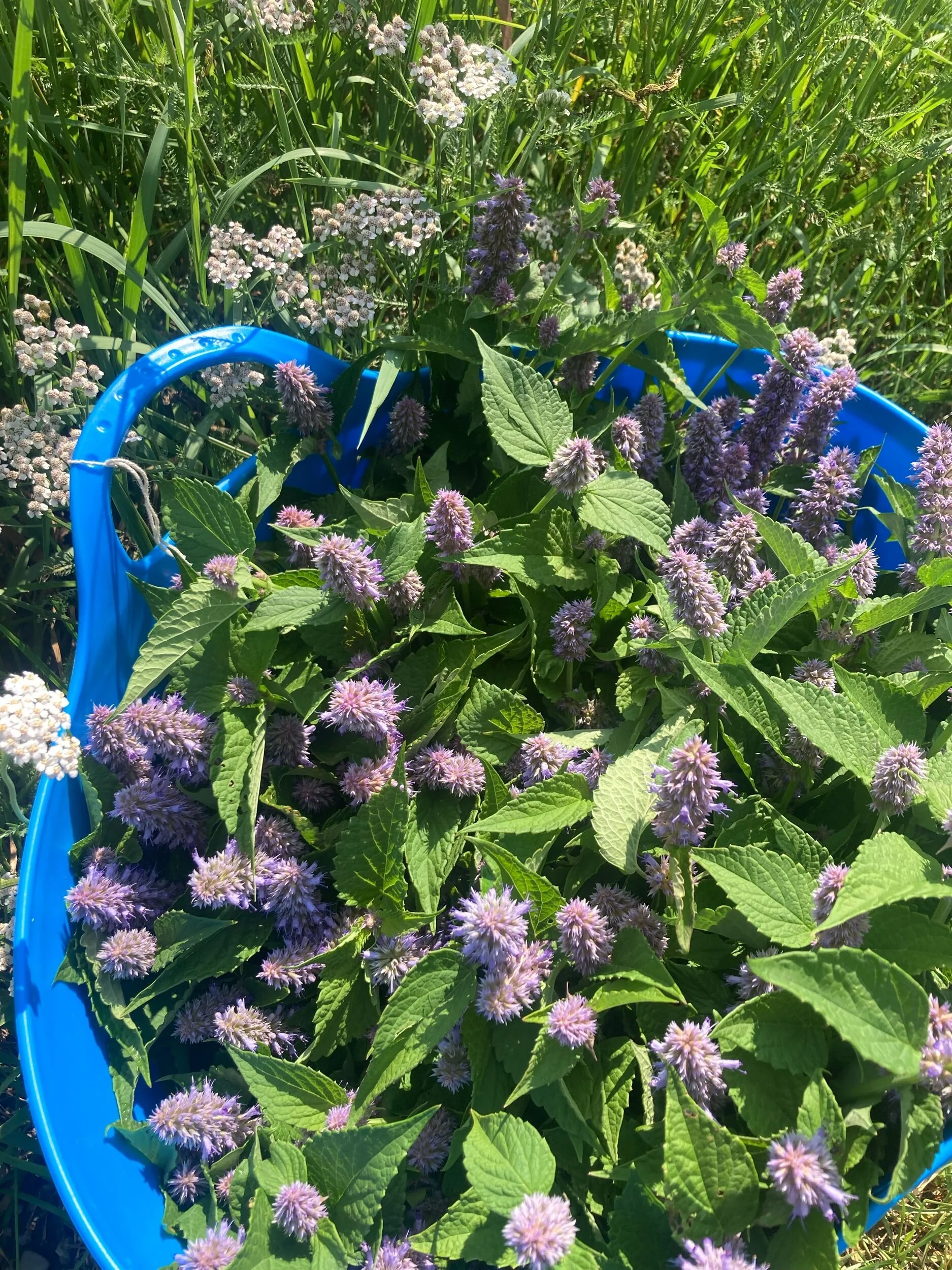 DBC80D67-C782-43A3-ACC5-E31ED5DCF80C