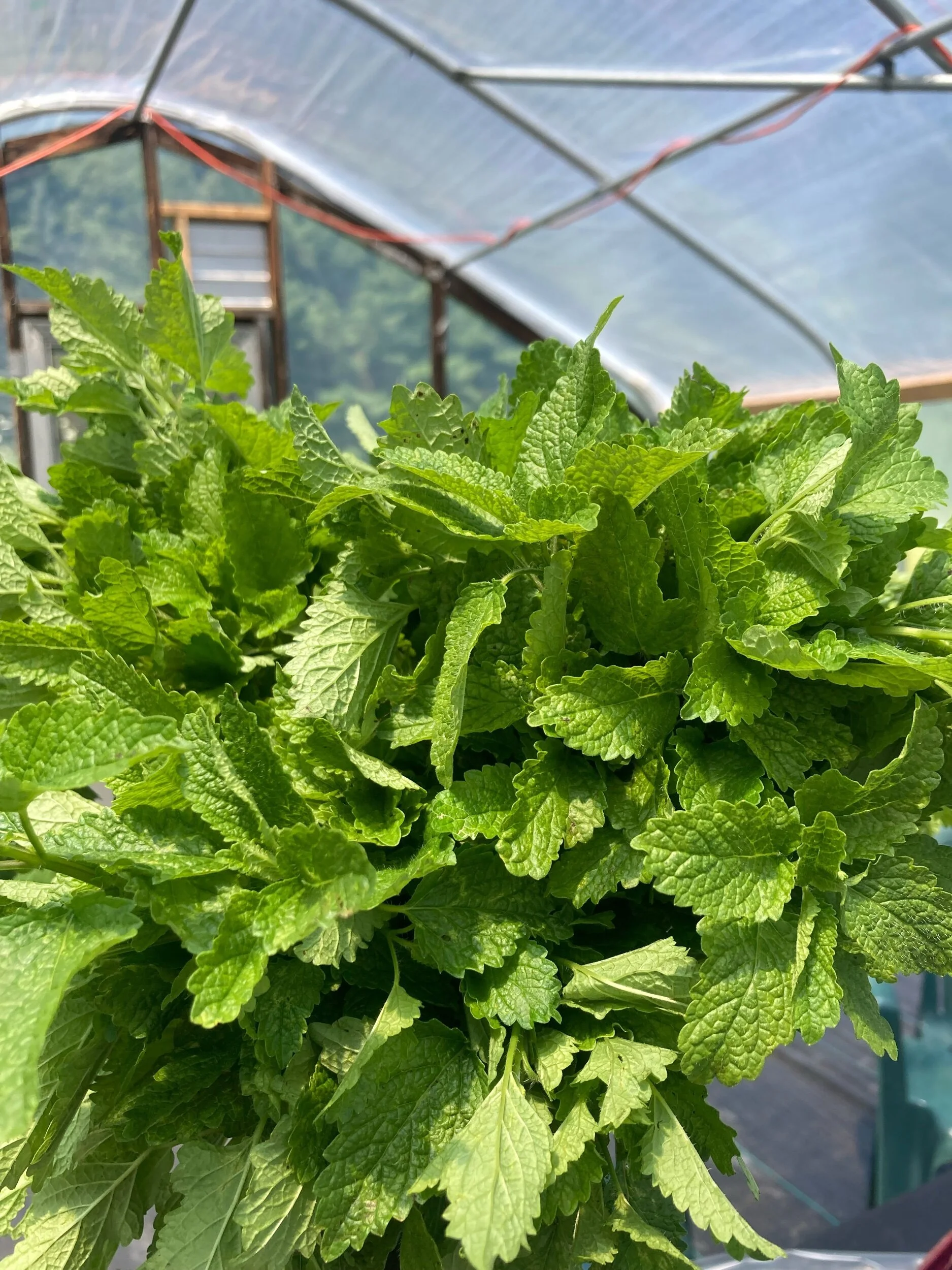 8E39124E-D17F-4017-B1DD-6F8970B705A1