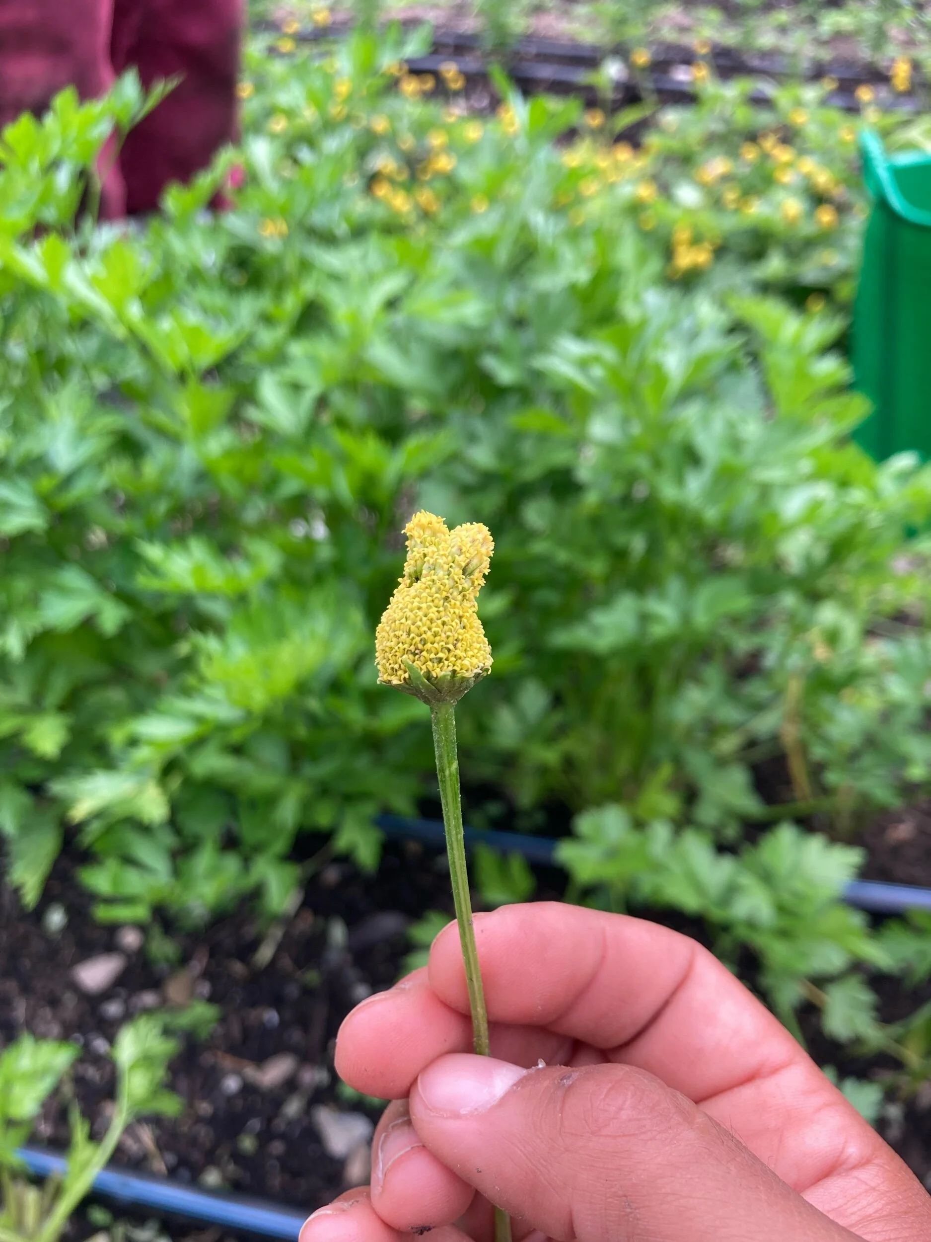 FA948841-29FD-4301-9E78-011157A1BB38