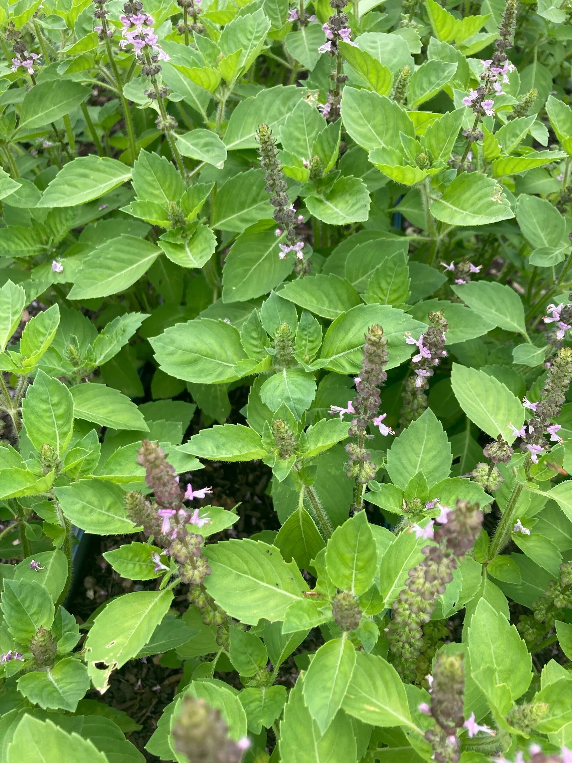 1C16C37A-2809-4CFB-ABDD-35FDEADA4F46