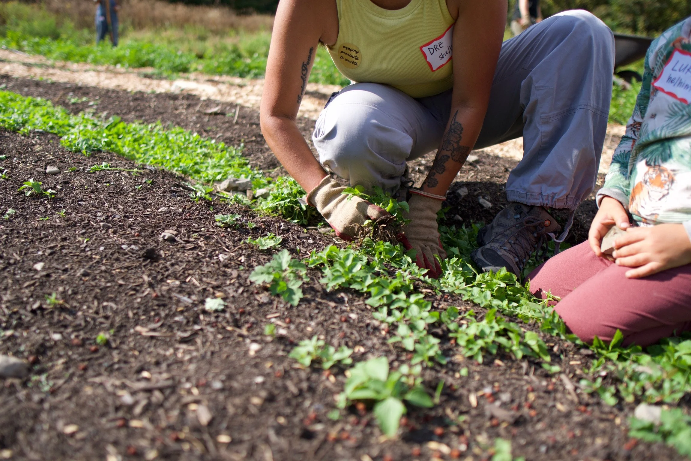 September Volunteer Day 