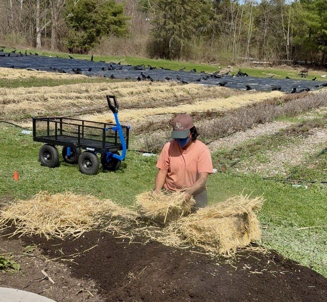 November Volunteer Day