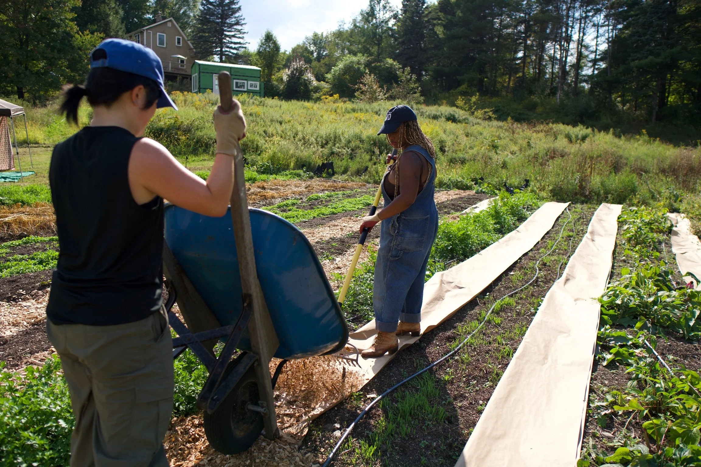 June Volunteer Day 