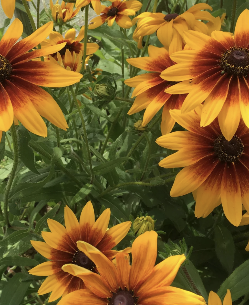 Screenshot 2026-03-23 at 12.10.25 PM.png