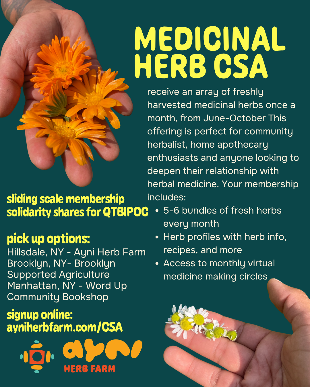fresh herb CSA flyer- 2026.png
