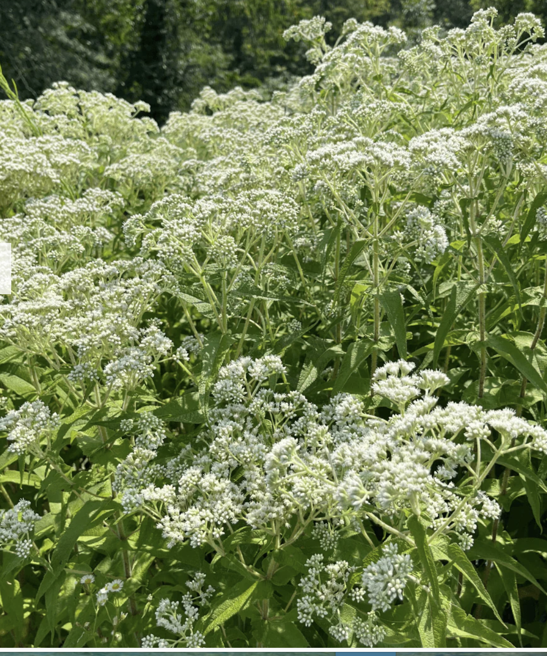 Screenshot 2026-04-22 at 12.00.45 PM.png