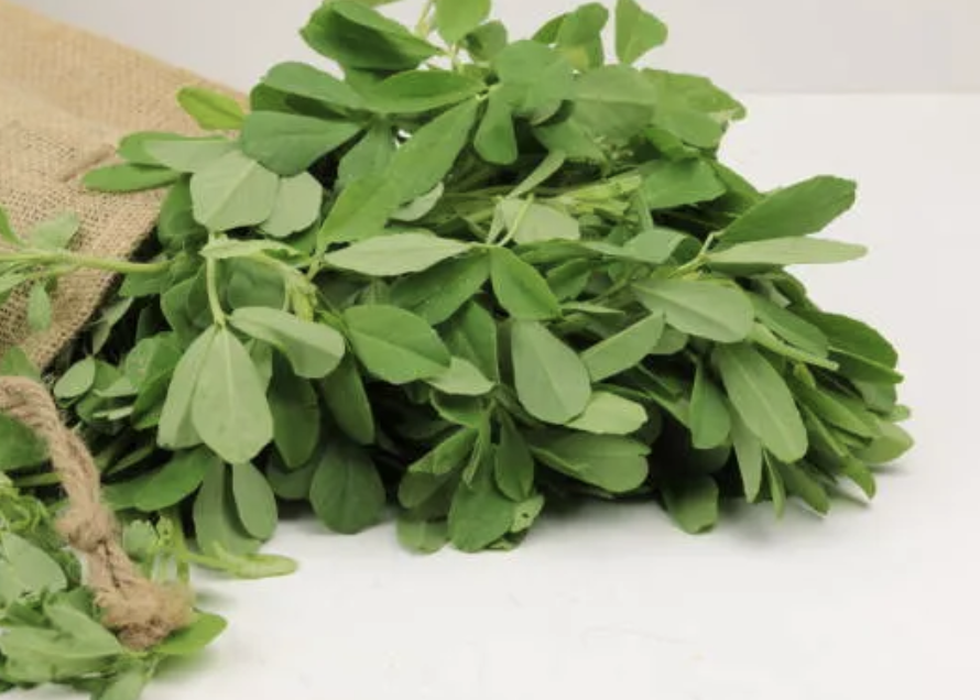 Screenshot 2026-03-23 at 12.06.18 PM.png