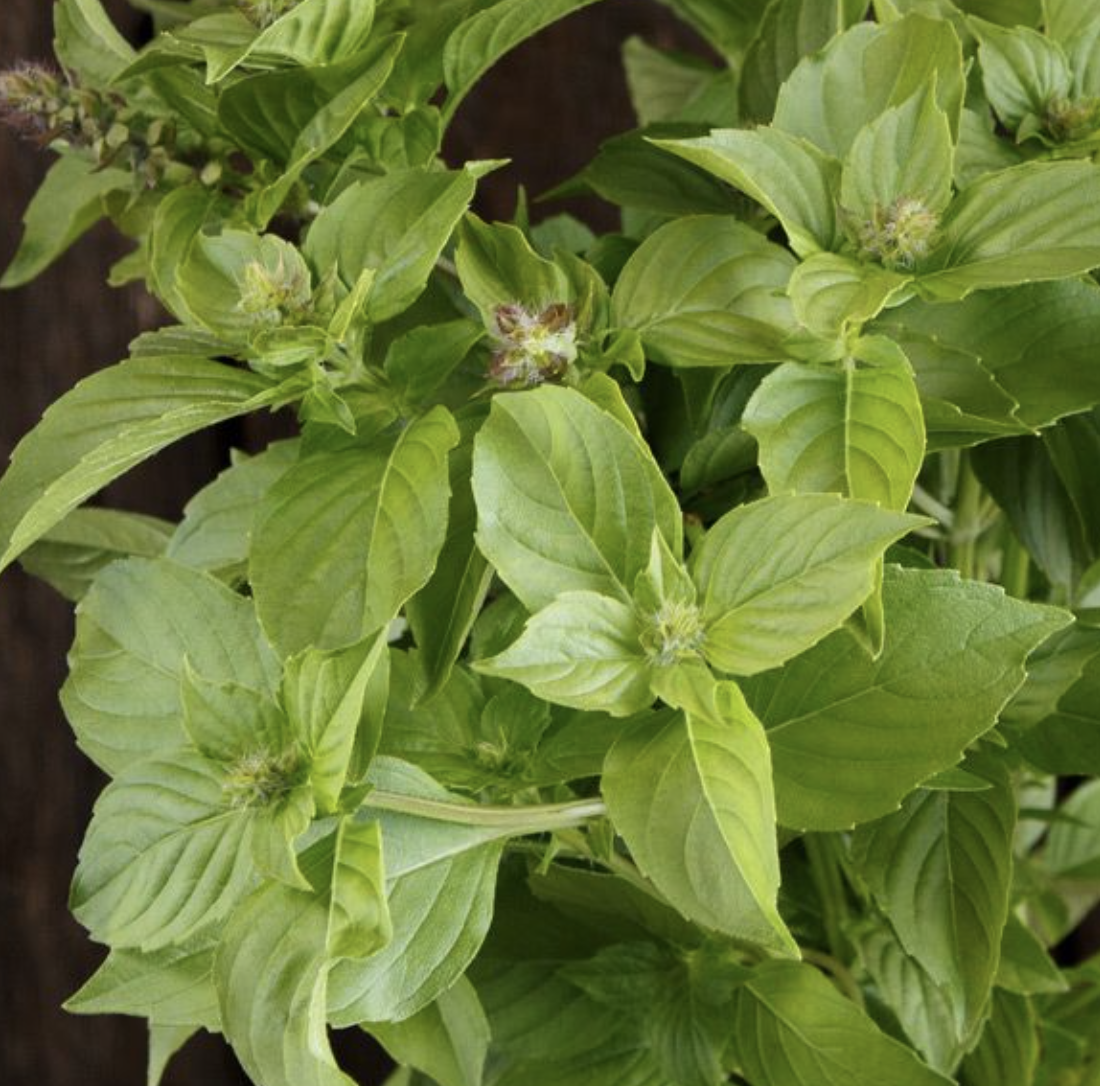 Screenshot 2026-03-23 at 11.33.50 AM.png